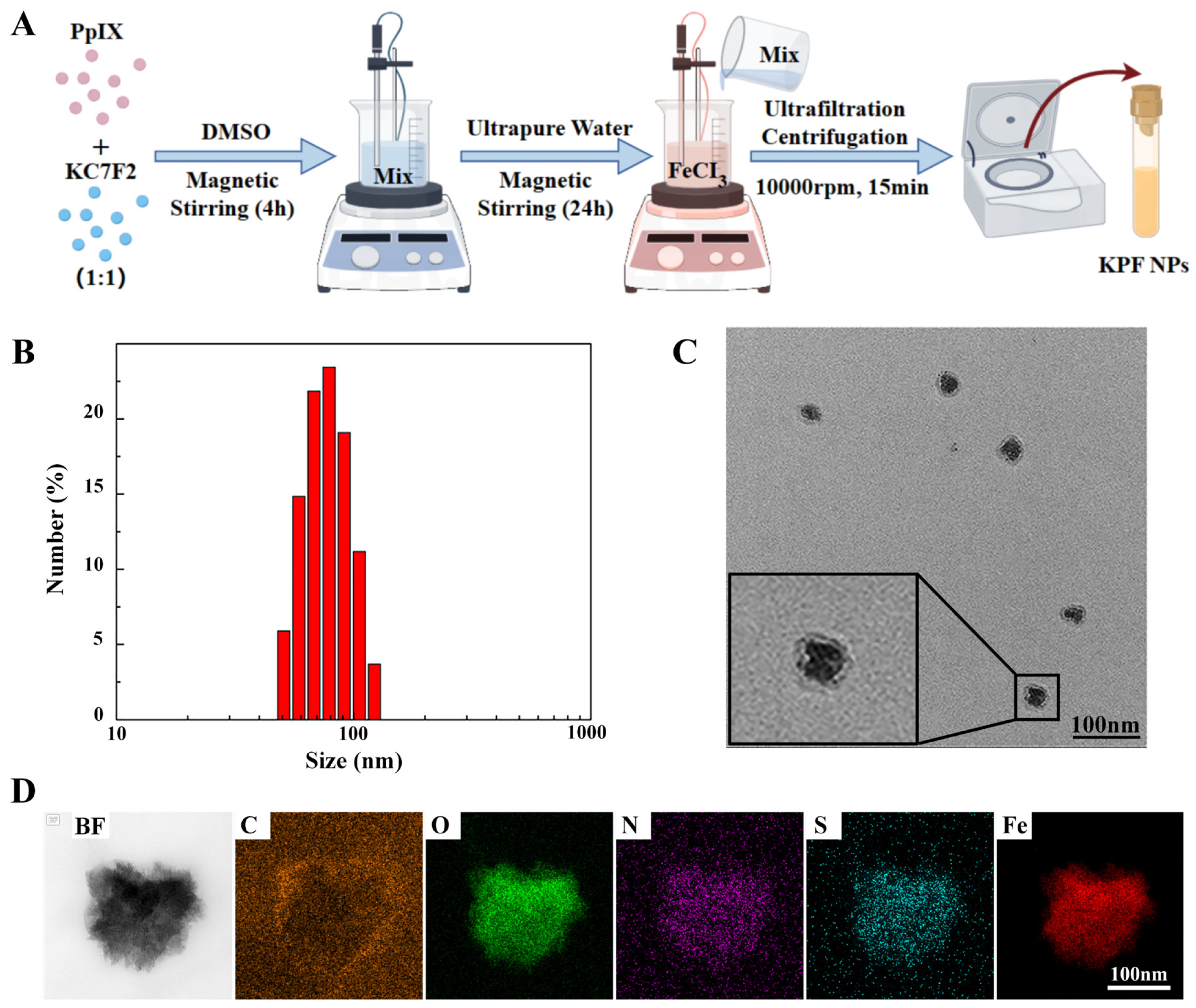 Pharmaceutics 16 01130 g001