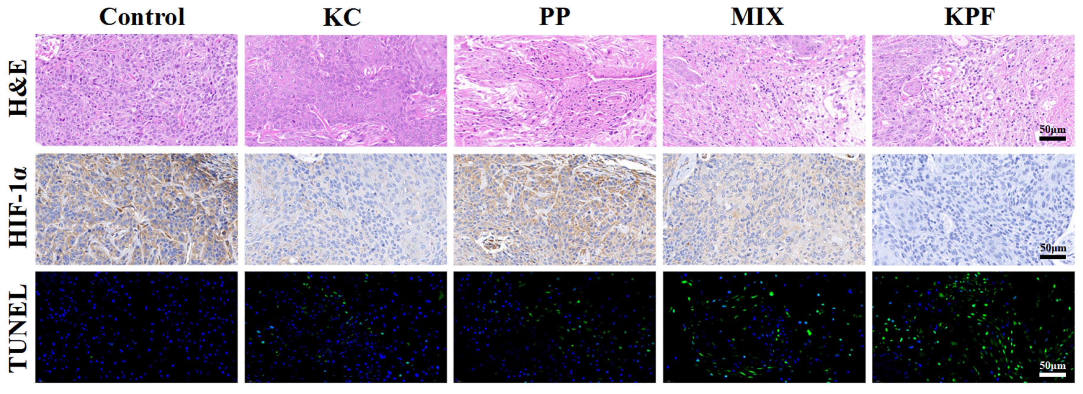 Pharmaceutics 16 01130 g006