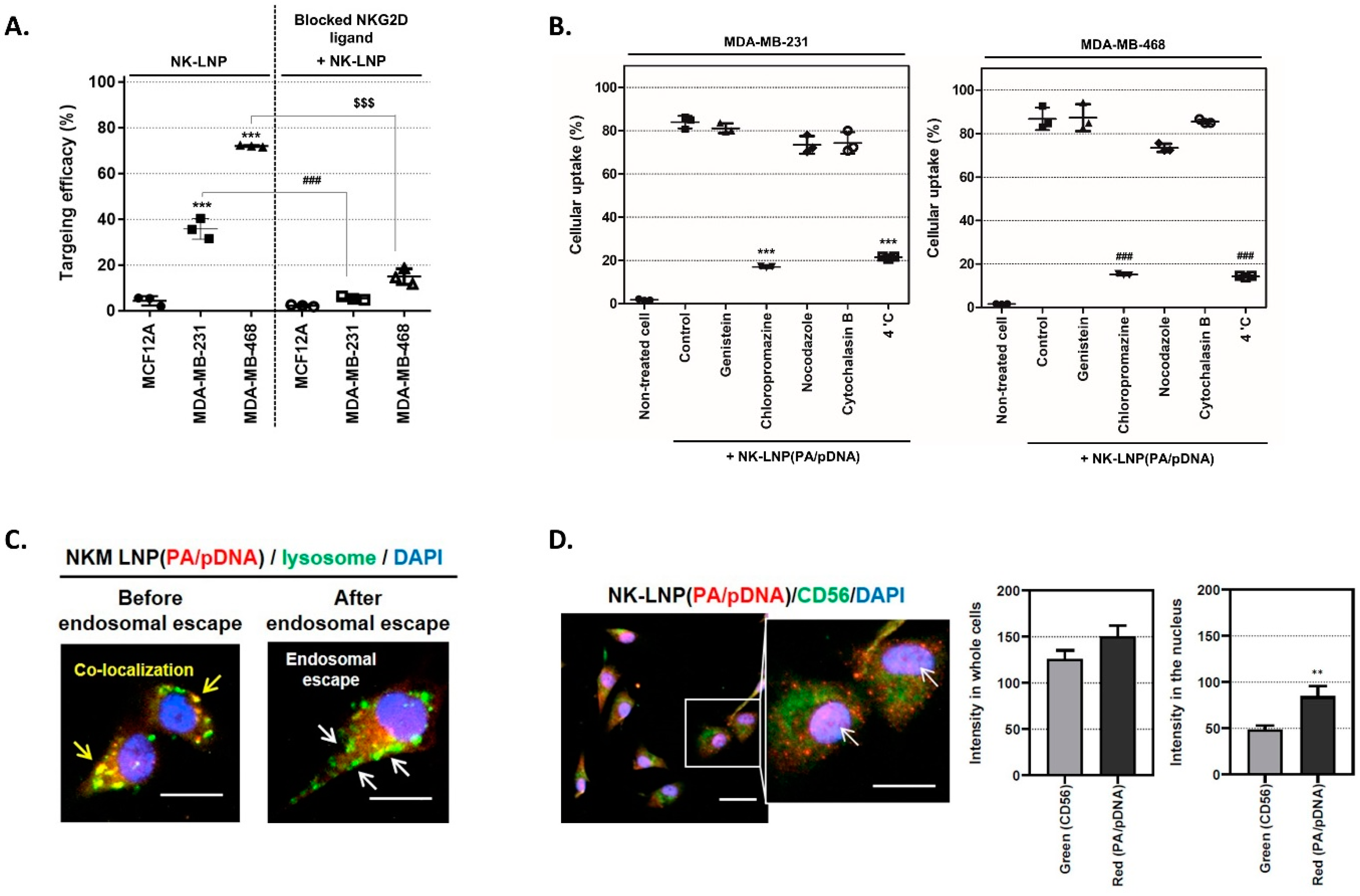 Pharmaceutics 16 01142 g002