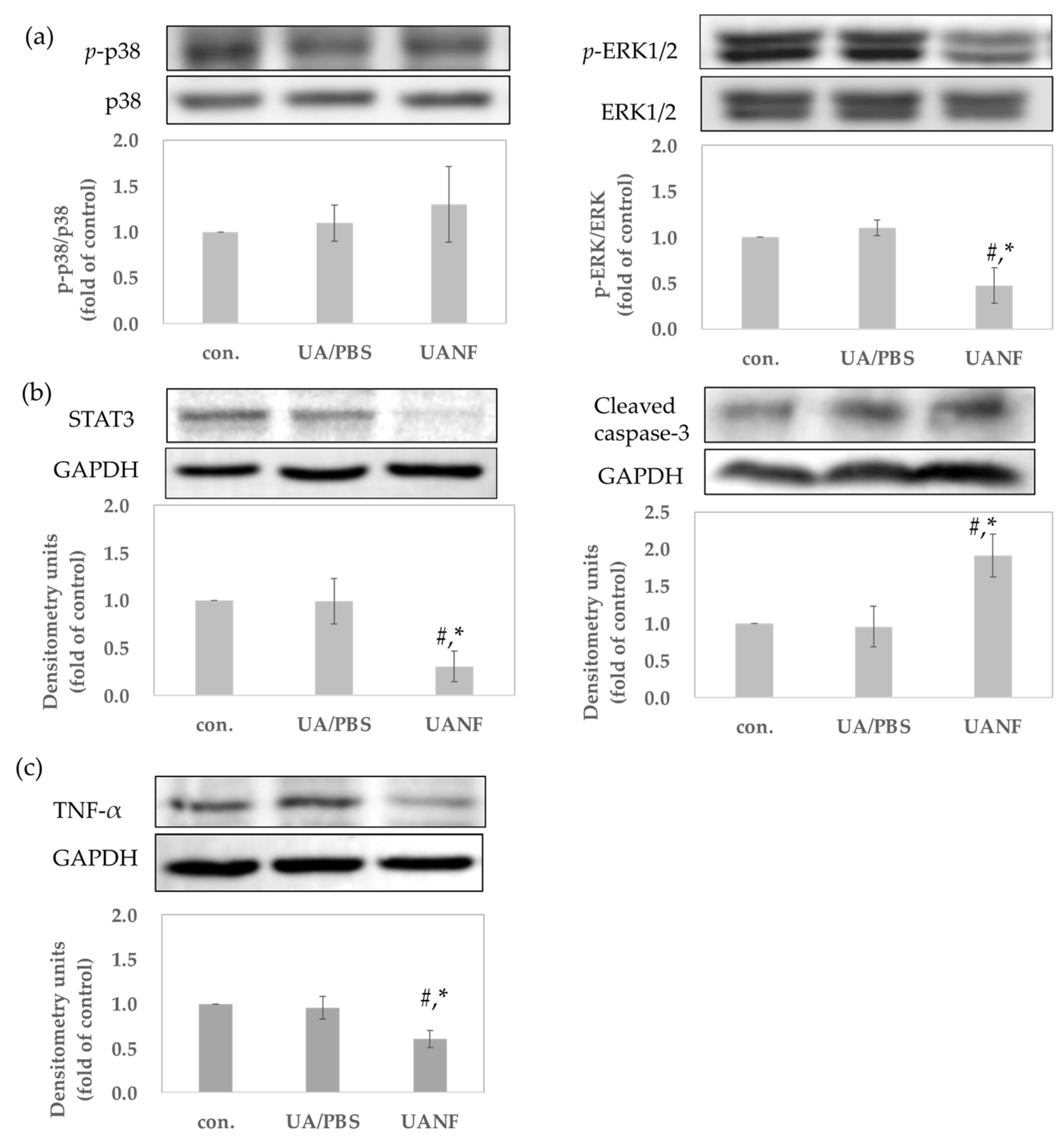 Pharmaceutics 16 01147 g007