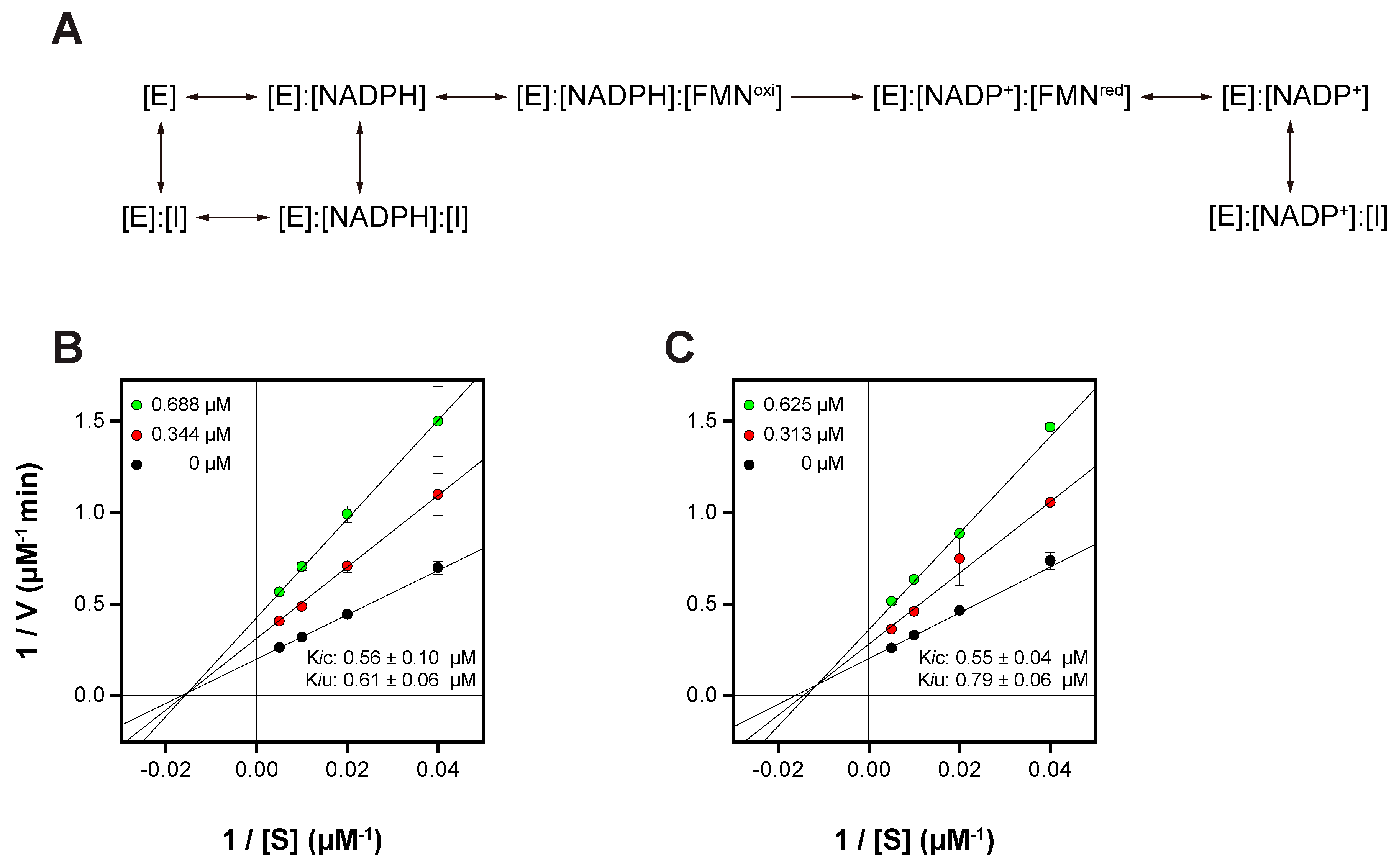 Pharmaceutics 16 01148 g006