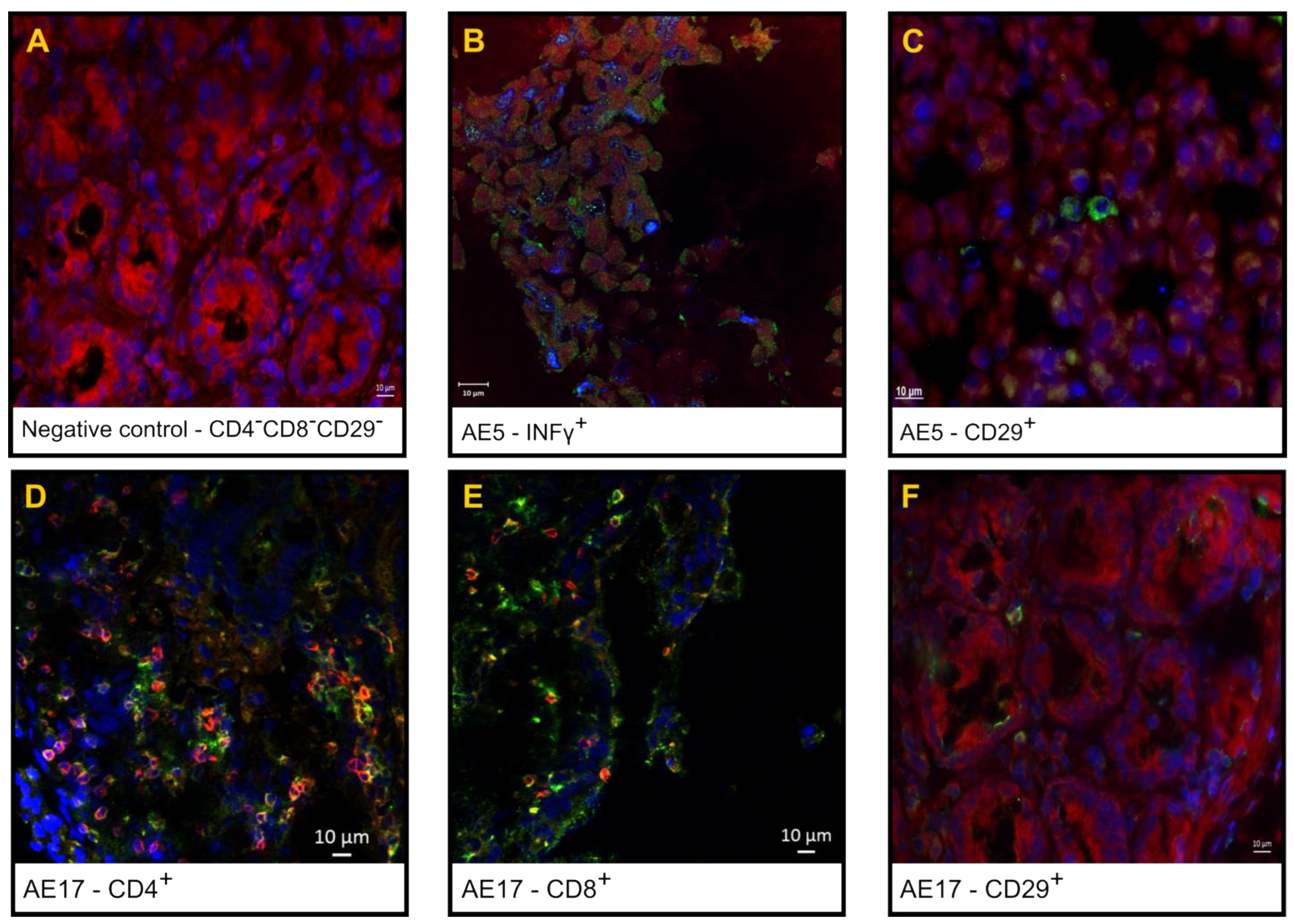 Pharmaceutics 16 01149 g003