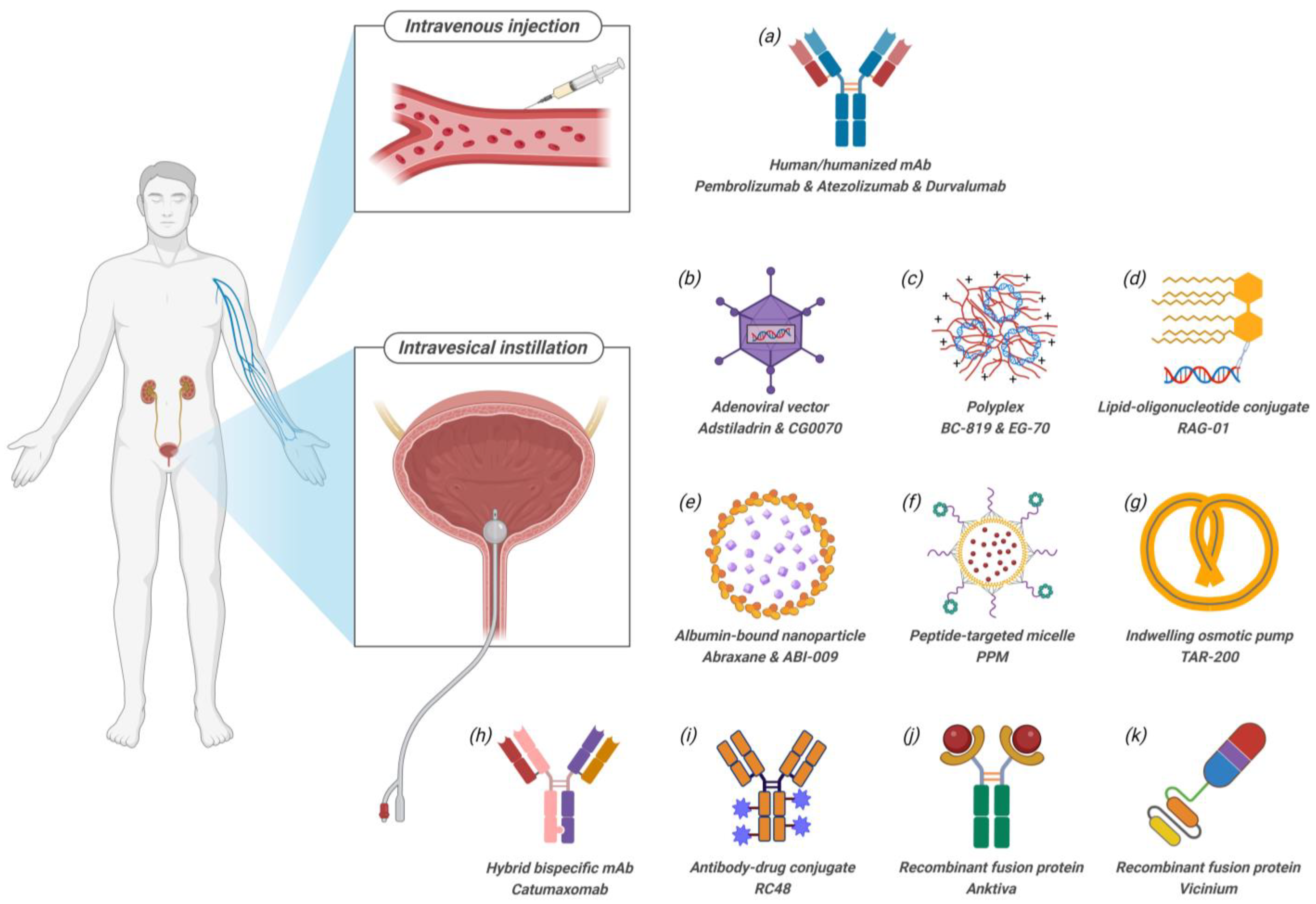 Pharmaceutics 16 01154 g003