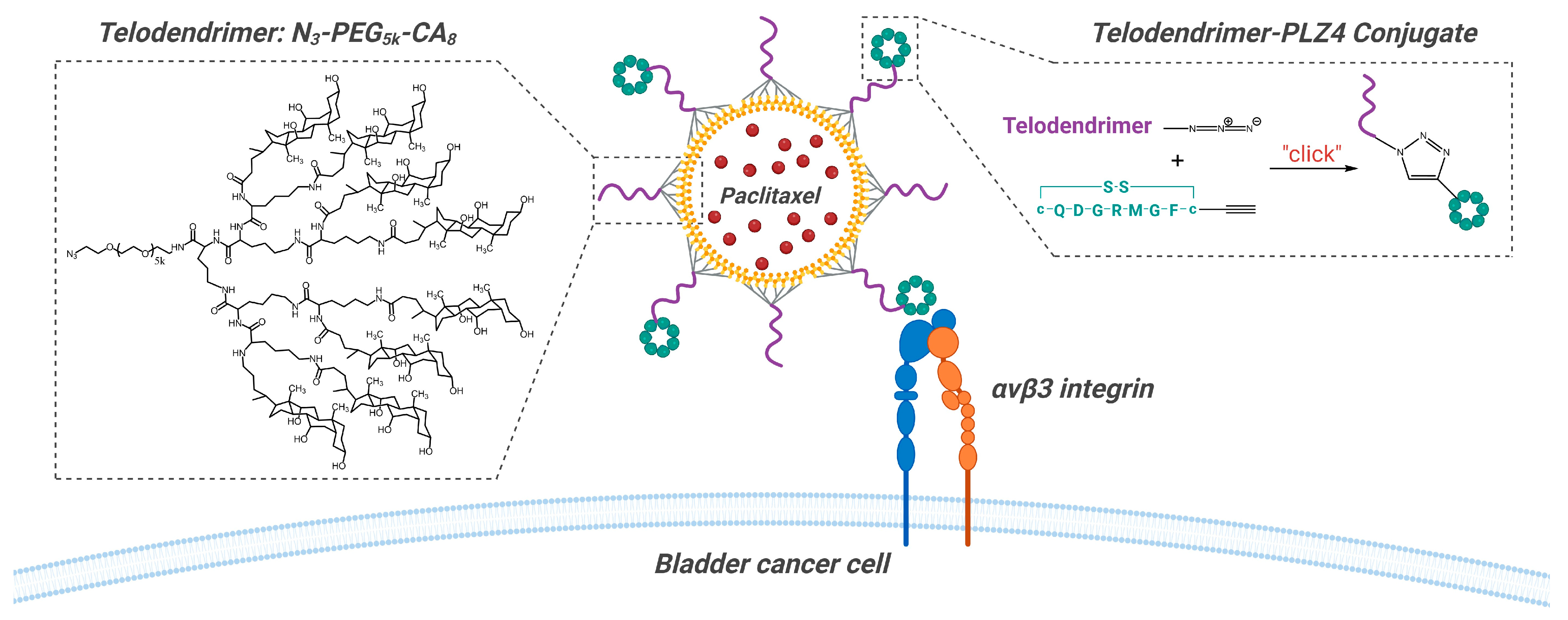 Pharmaceutics 16 01154 g004