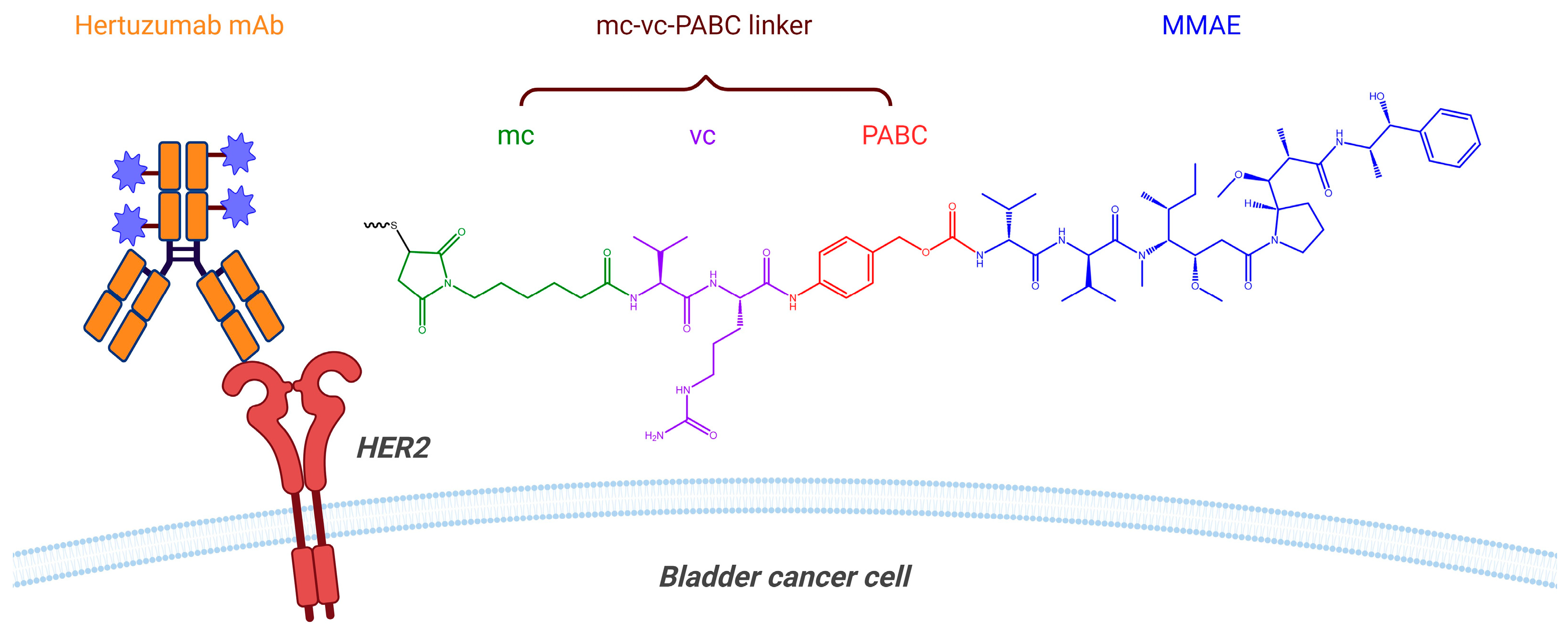 Pharmaceutics 16 01154 g006