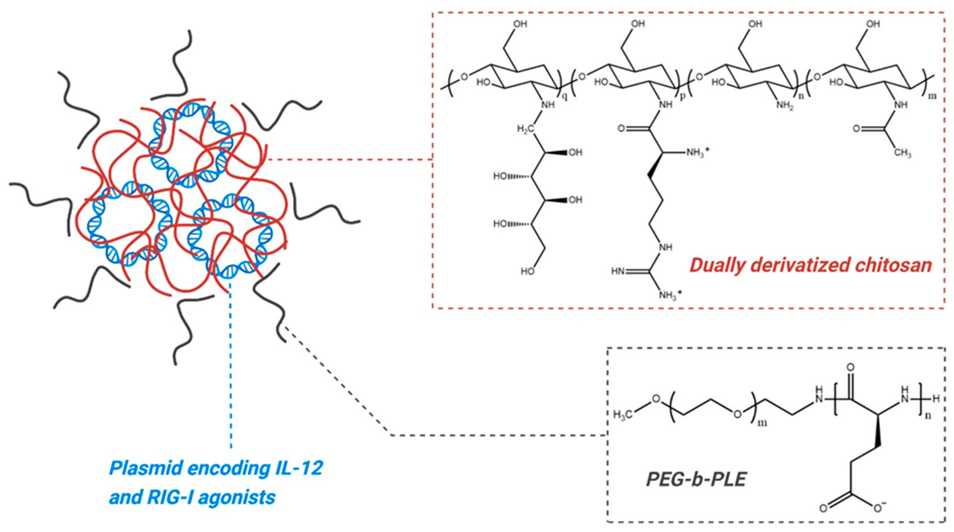 Pharmaceutics 16 01154 g008