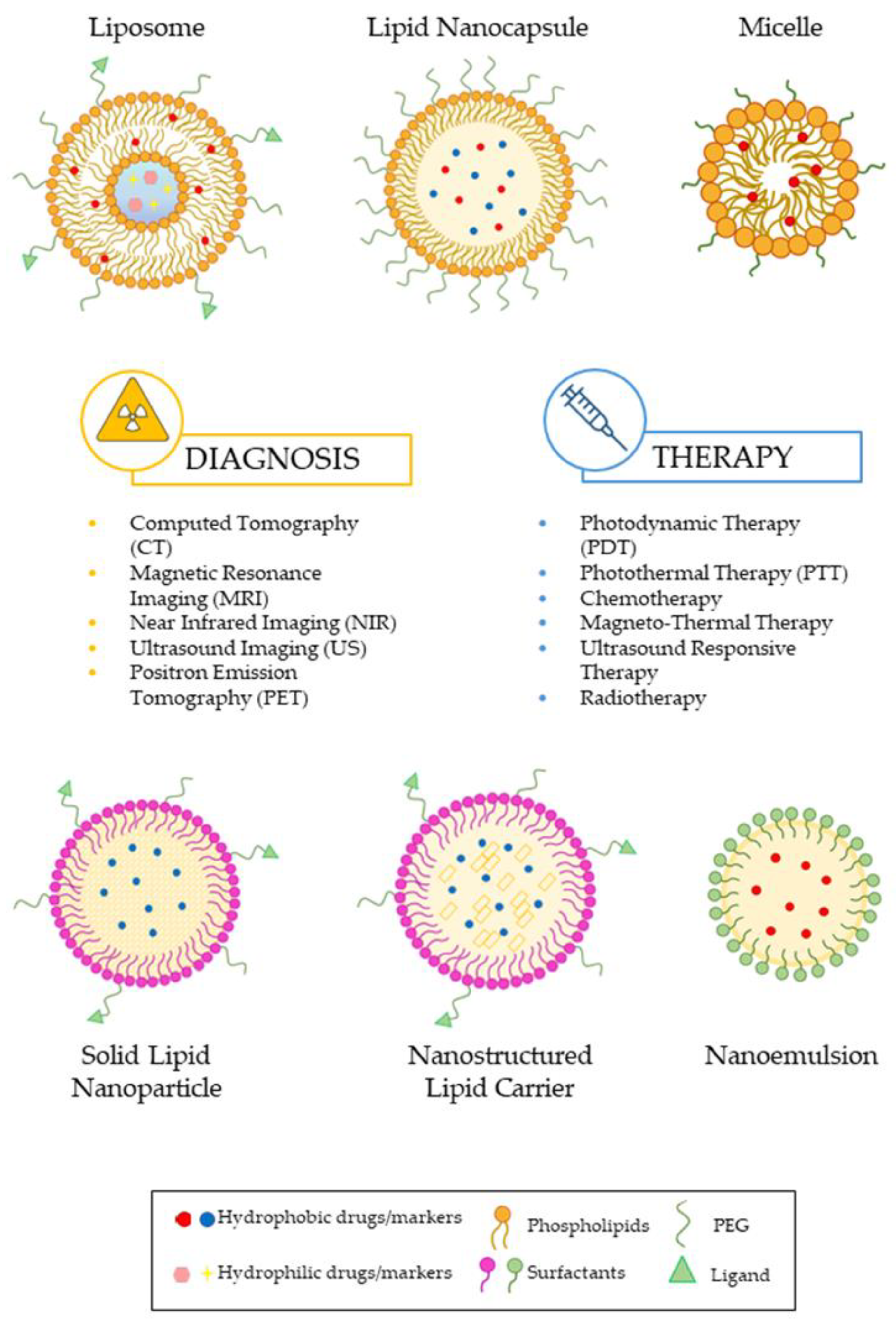 Pharmaceutics 16 01158 g001