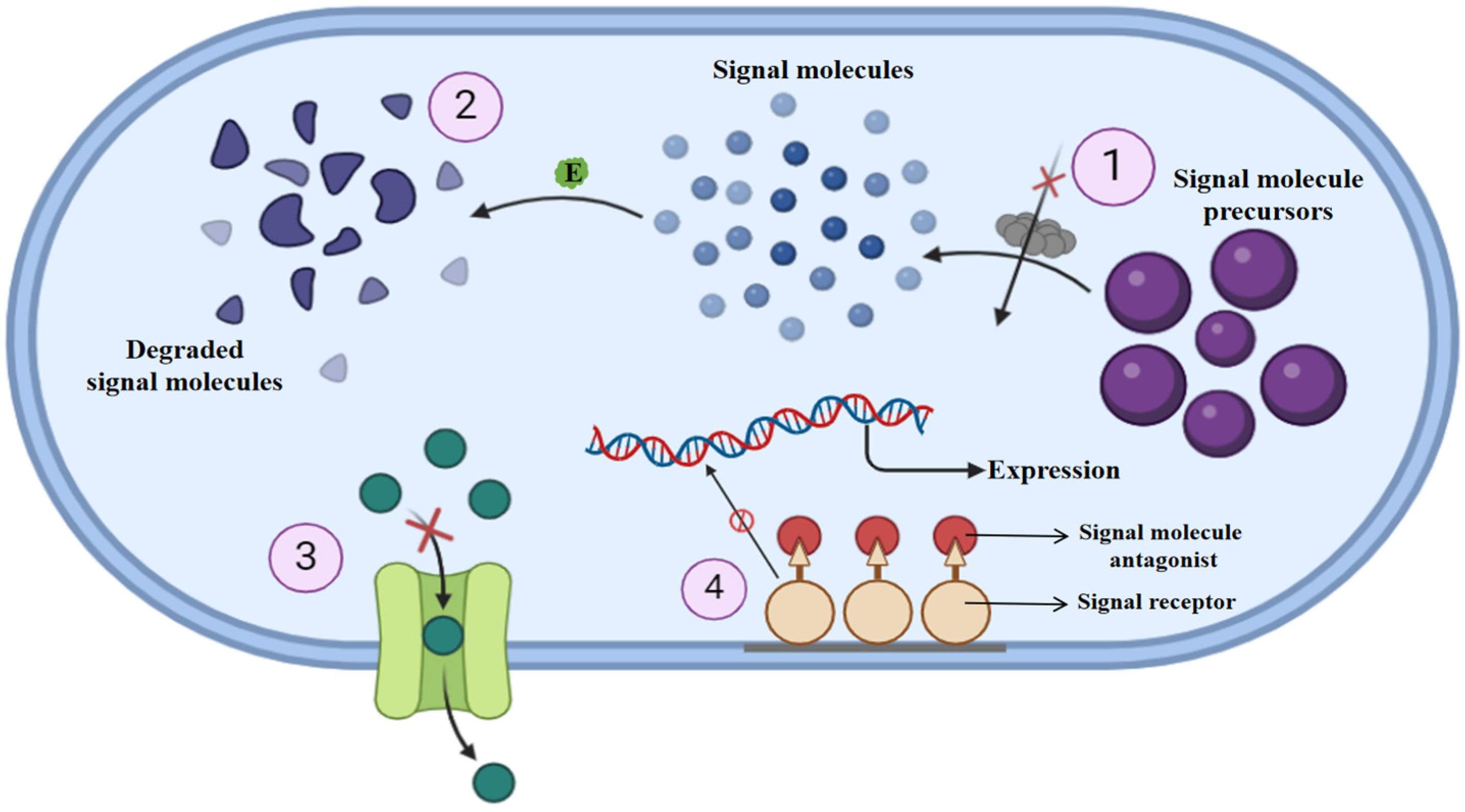 Pharmaceutics 16 01160 g004