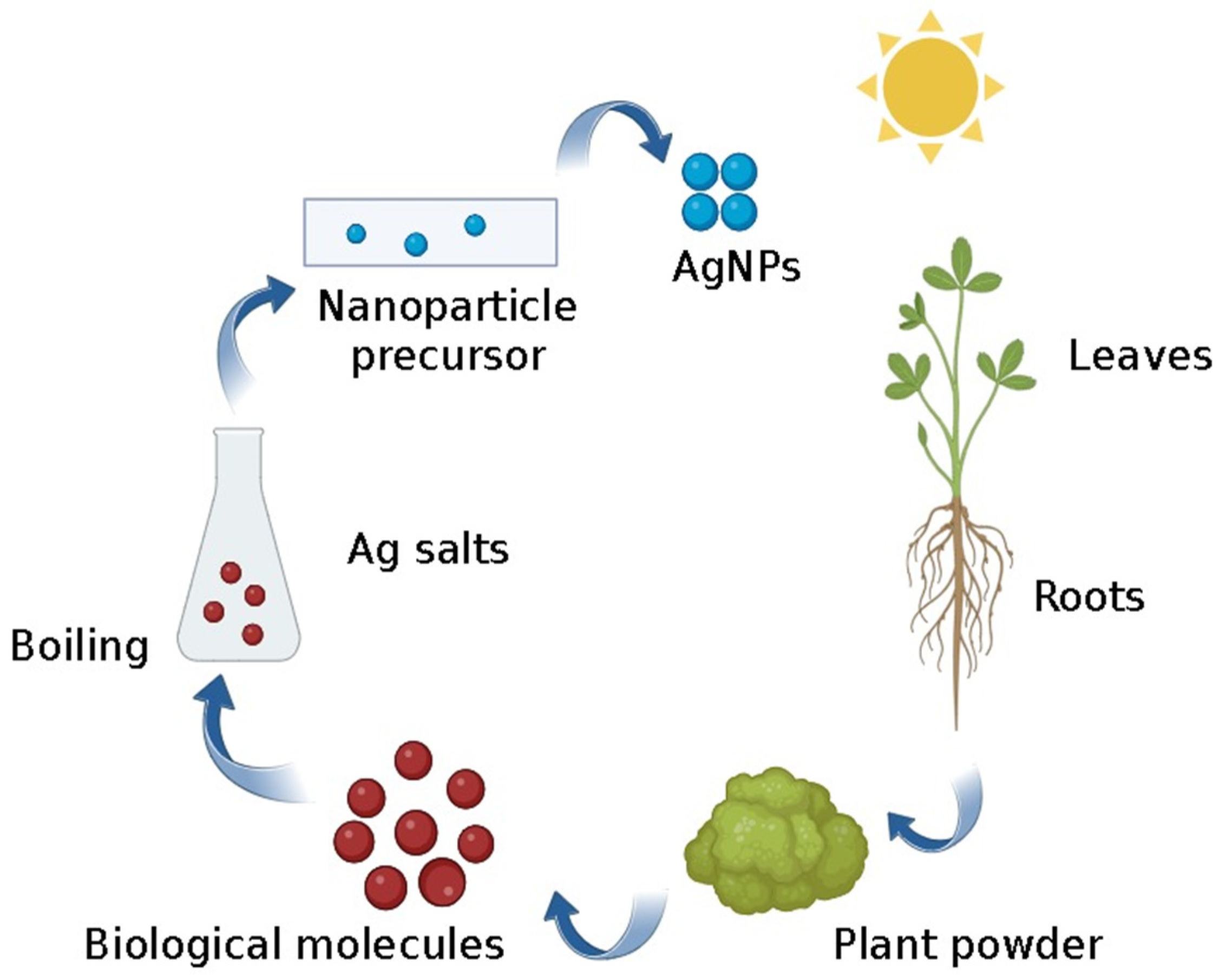 Pharmaceutics 16 01160 g006