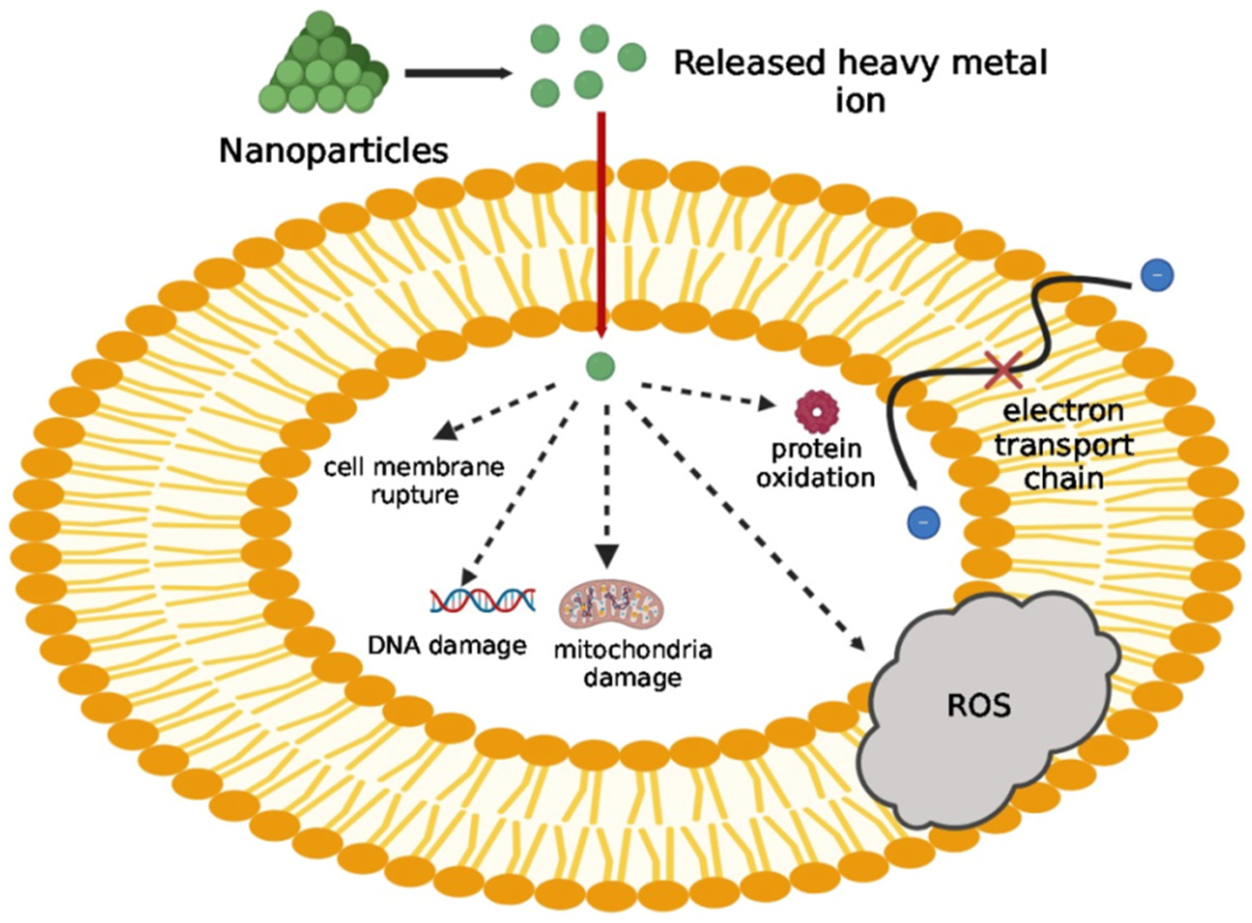 Pharmaceutics 16 01160 g007