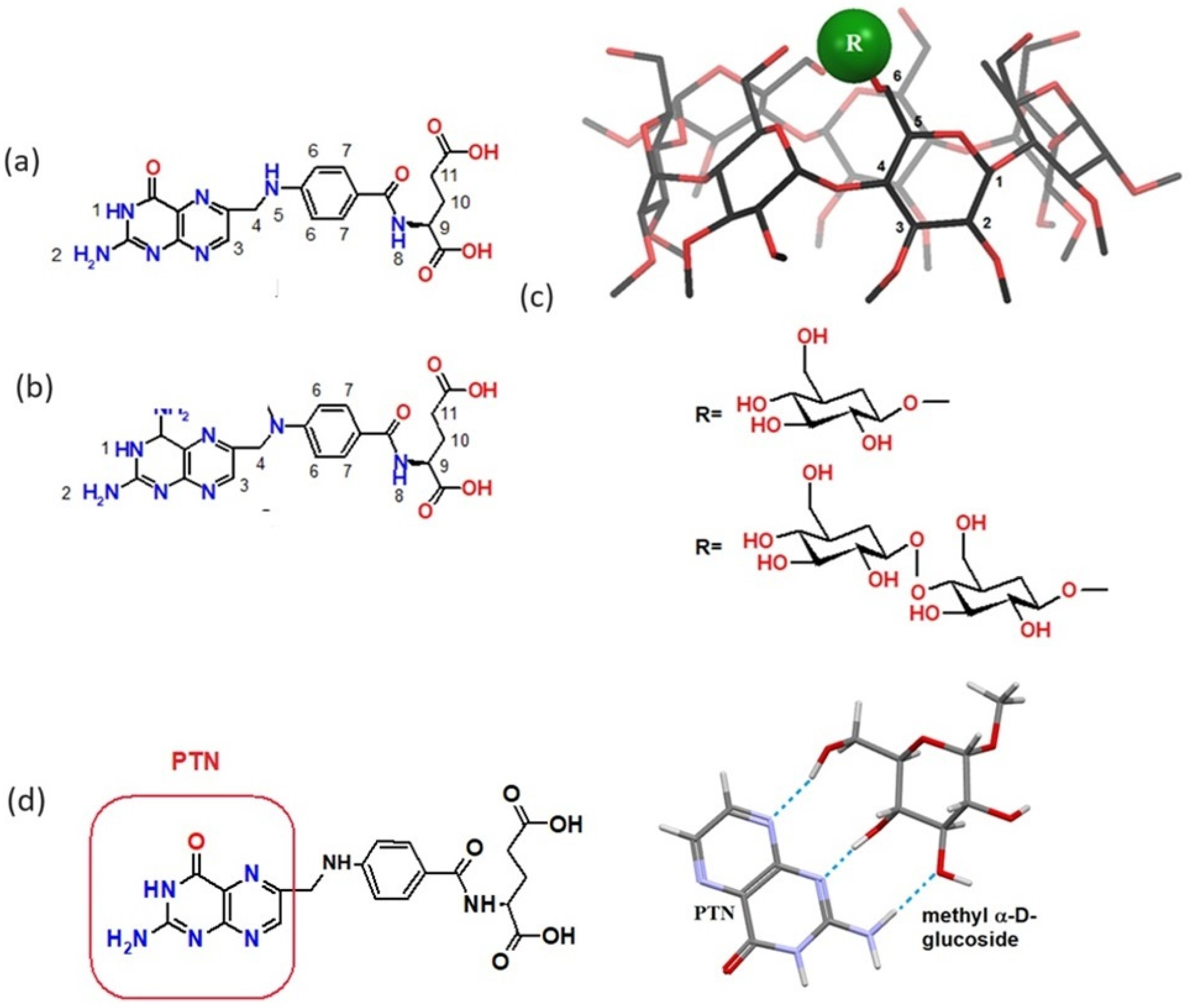 Pharmaceutics 16 01161 g001