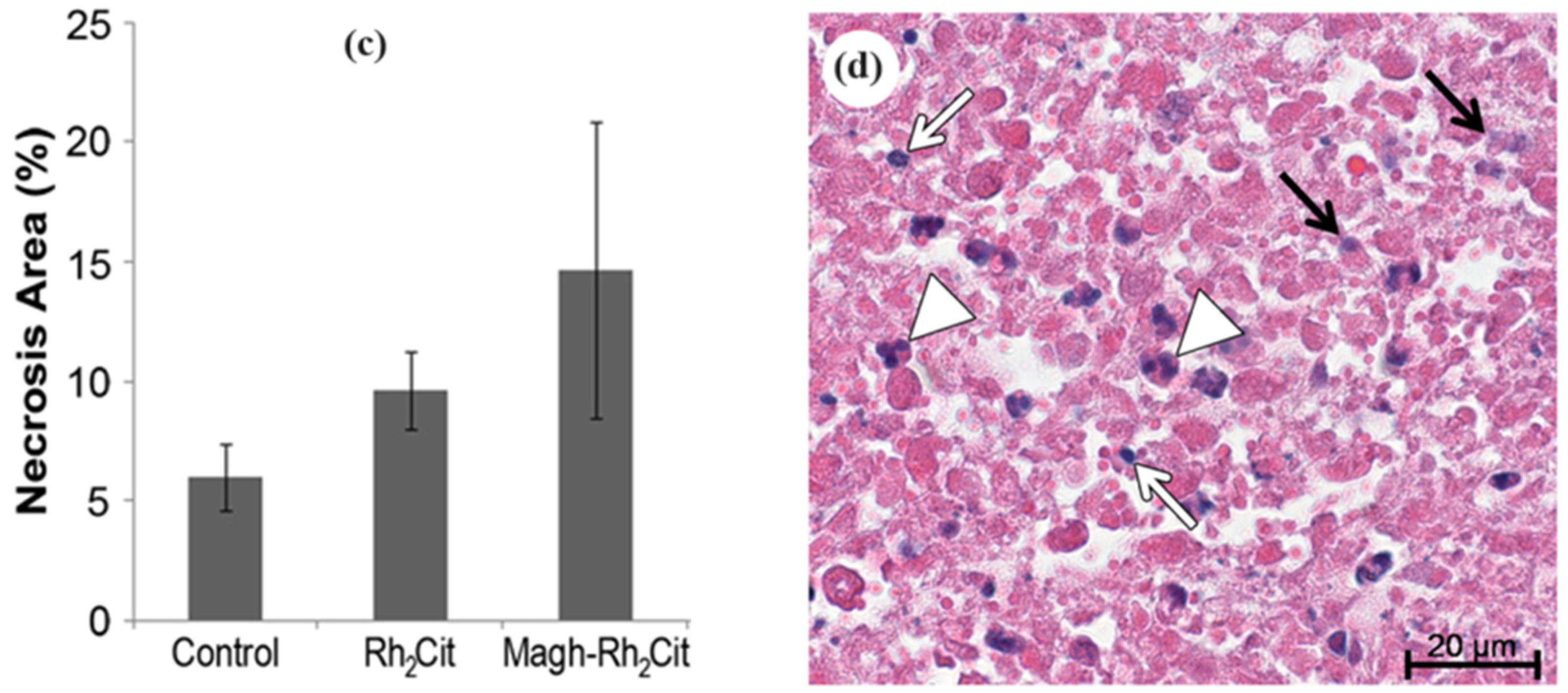 Pharmaceutics 16 01162 g006b