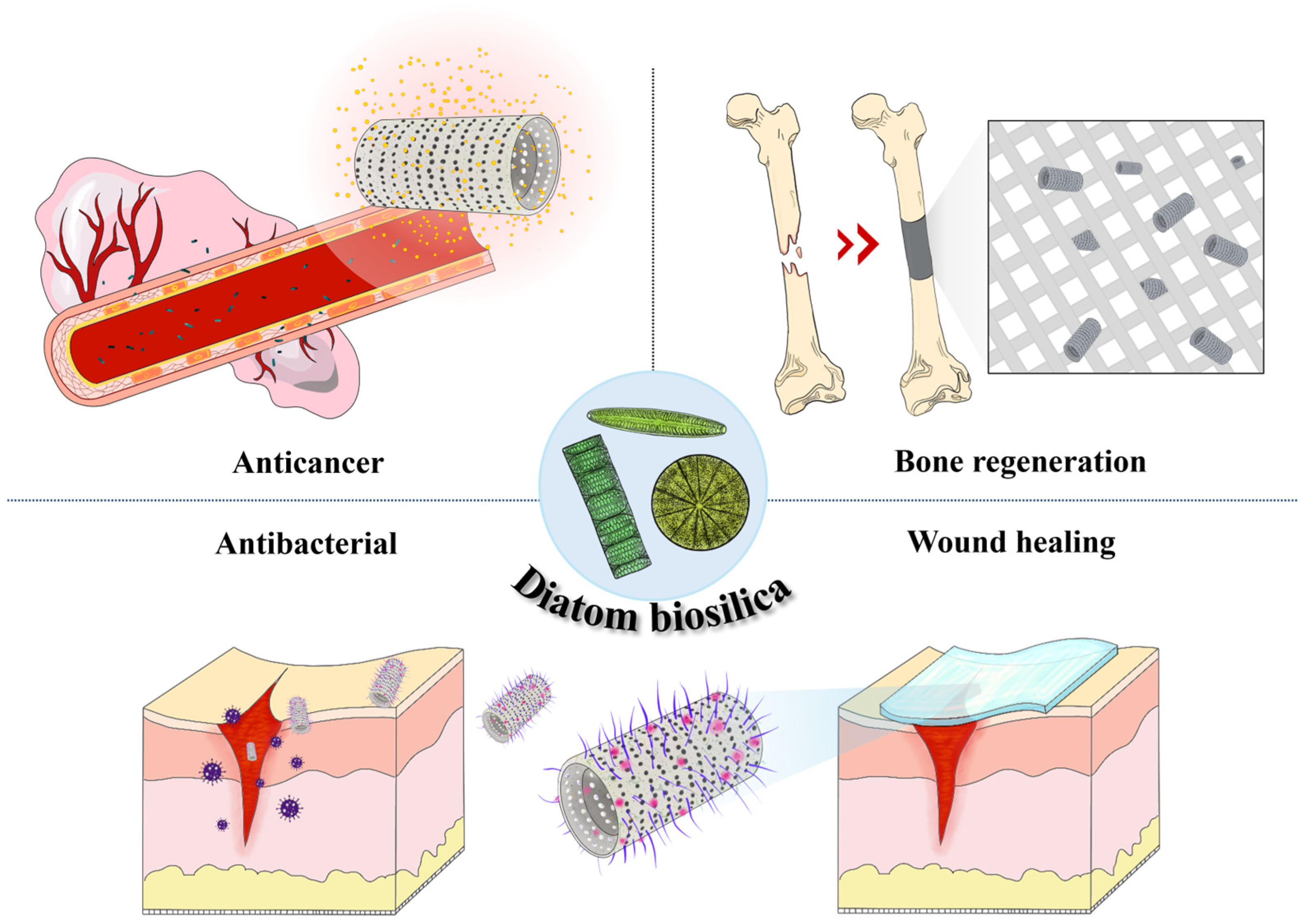 Pharmaceutics 16 01171 g004