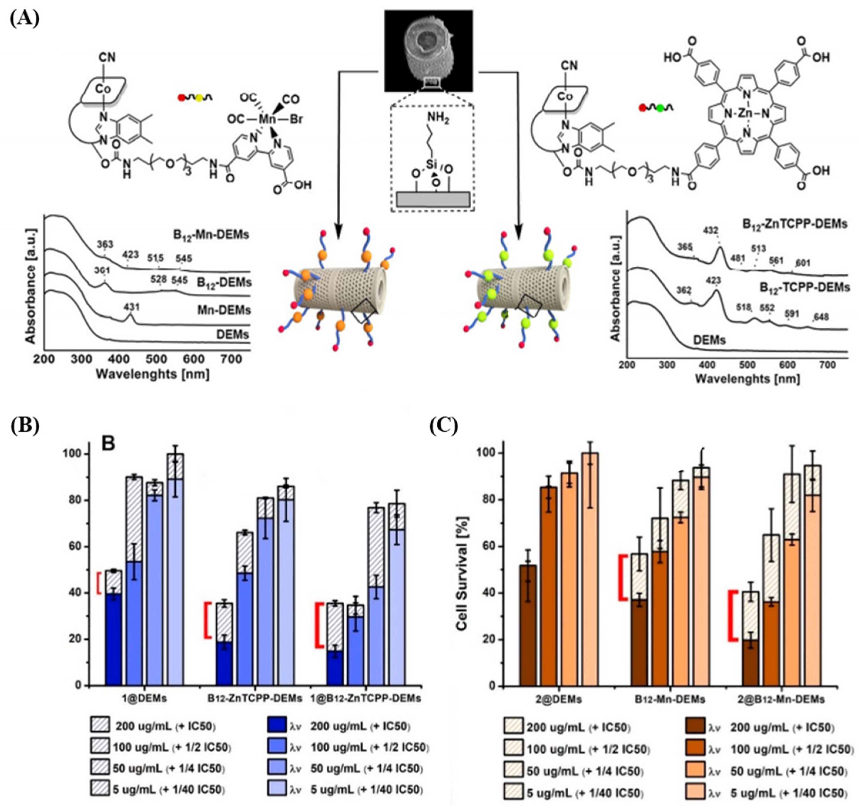 Pharmaceutics 16 01171 g006