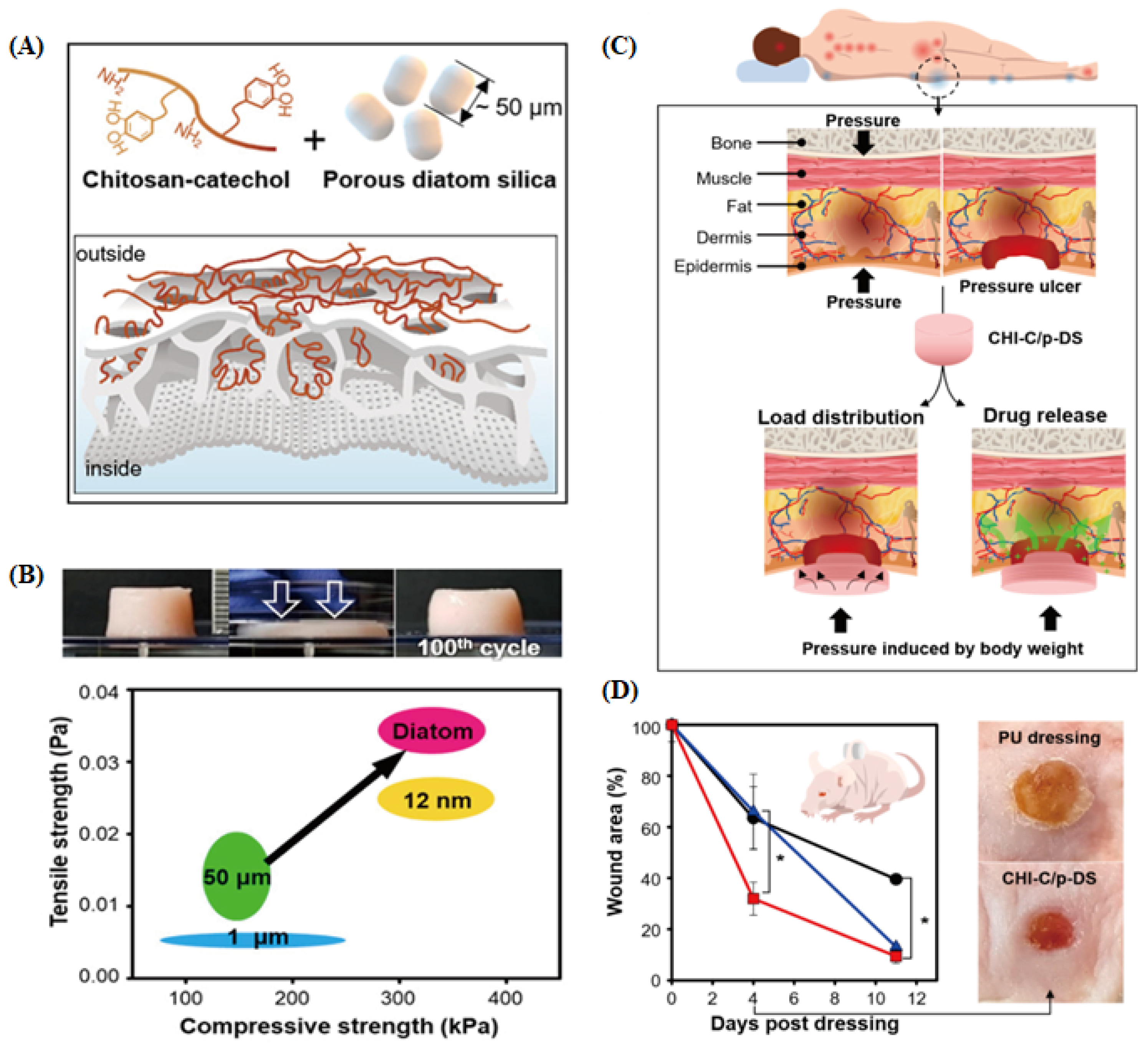 Pharmaceutics 16 01171 g011