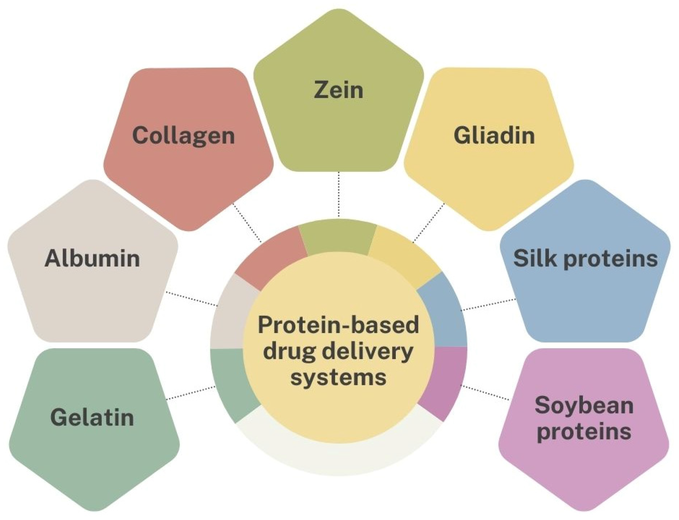 Pharmaceutics 16 01172 g004