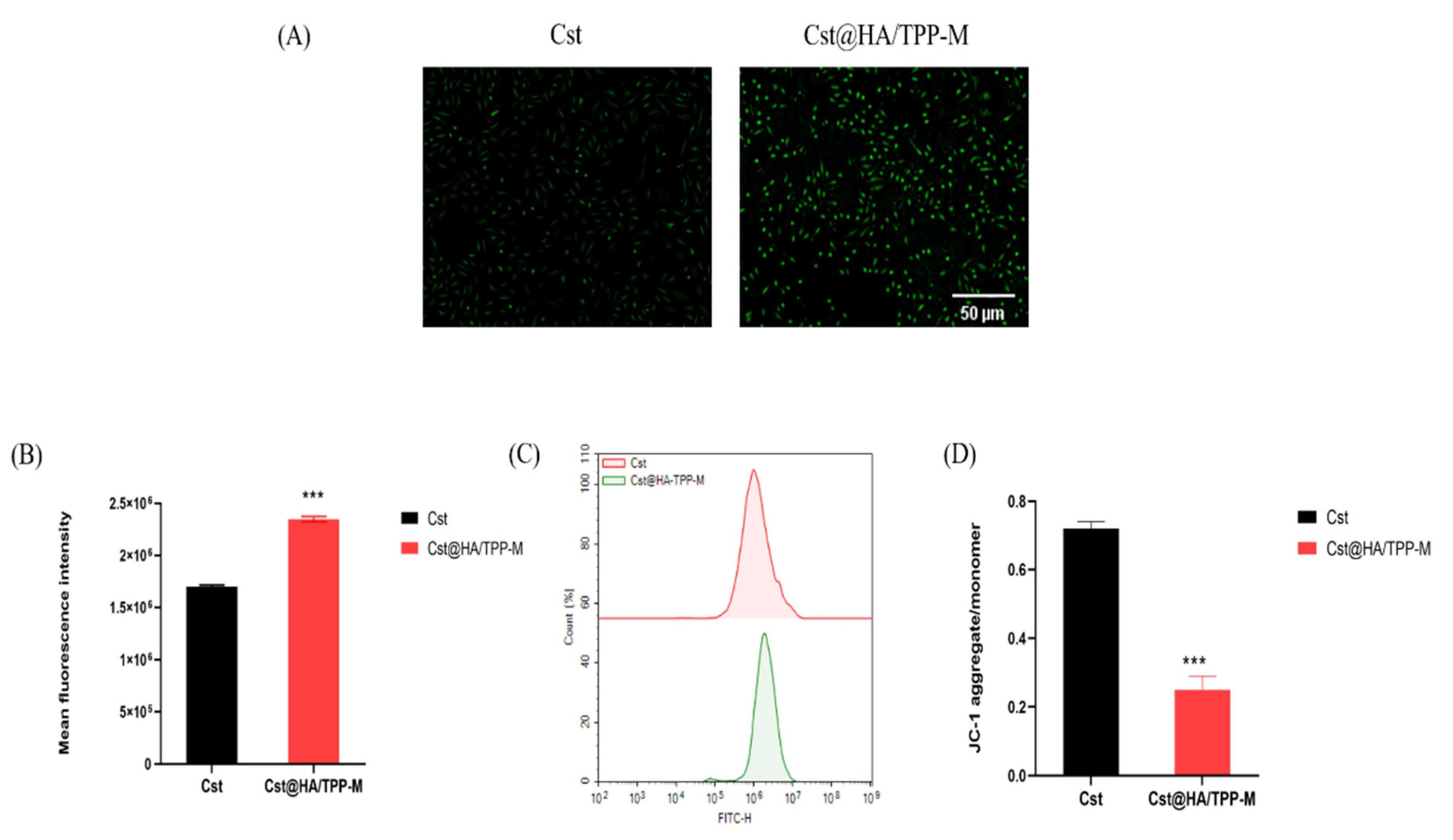 Pharmaceutics 16 01174 g005