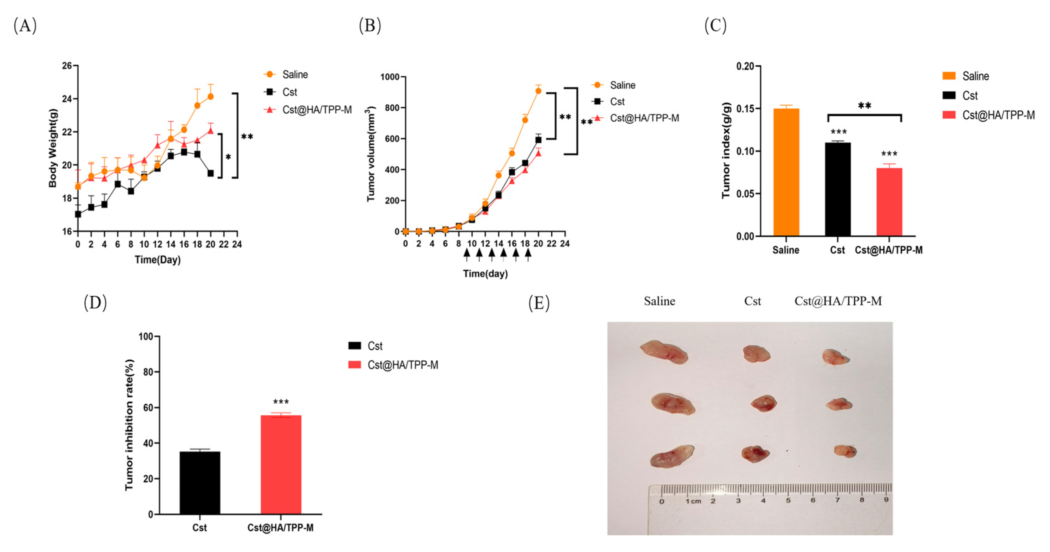Pharmaceutics 16 01174 g008