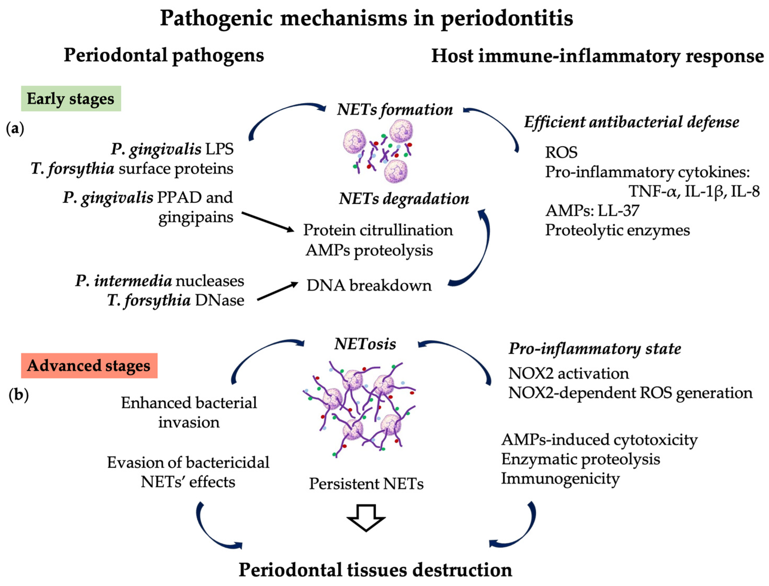 Pharmaceutics 16 01175 g002