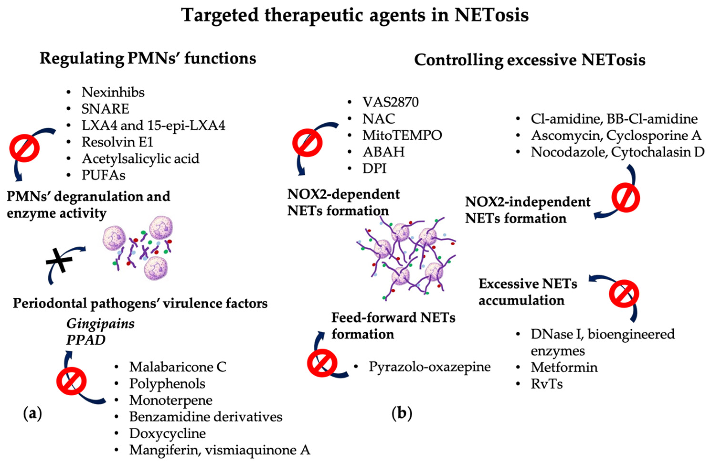 Pharmaceutics 16 01175 g003