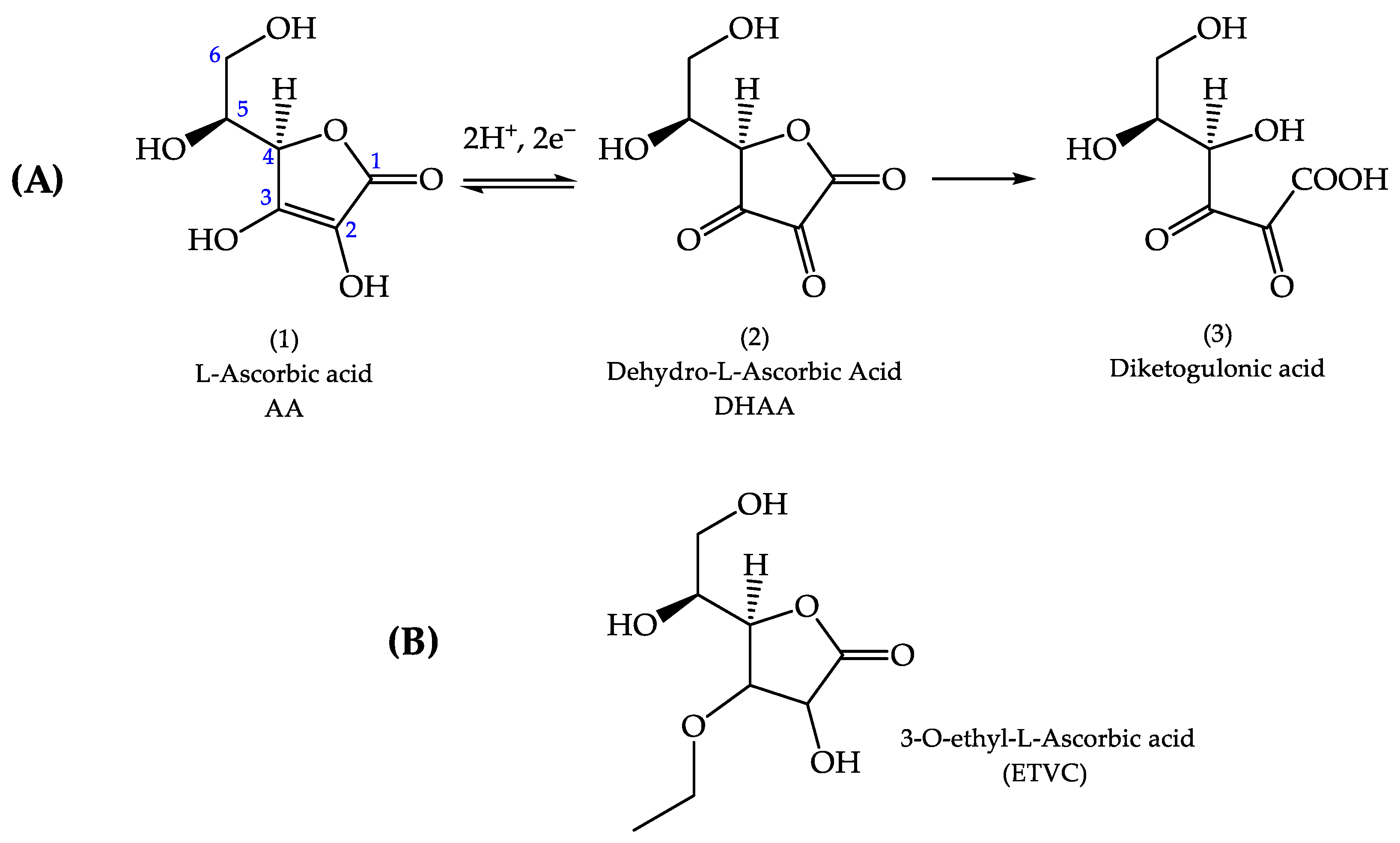 Pharmaceutics 16 01187 g001