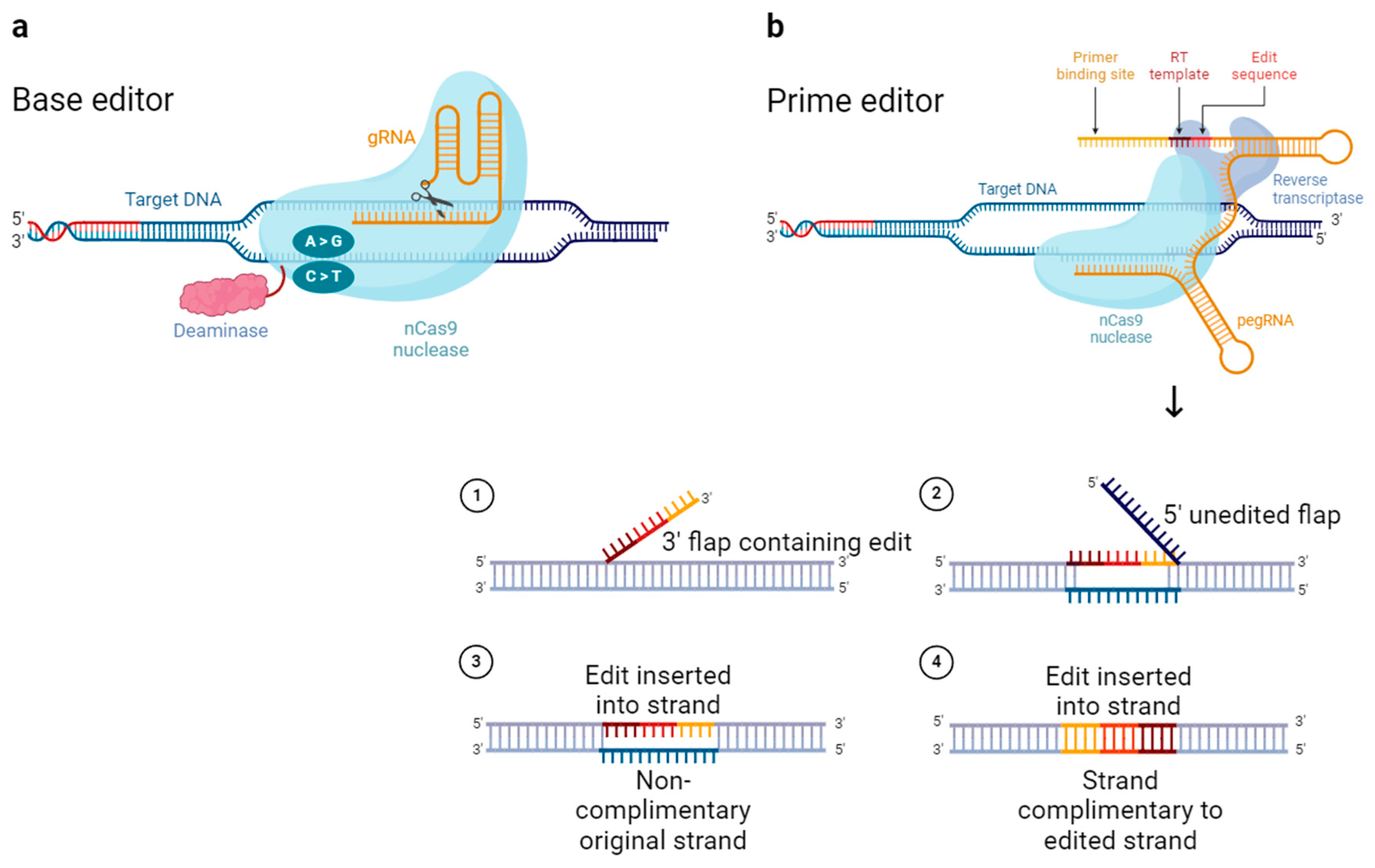 Pharmaceutics 16 01197 g003