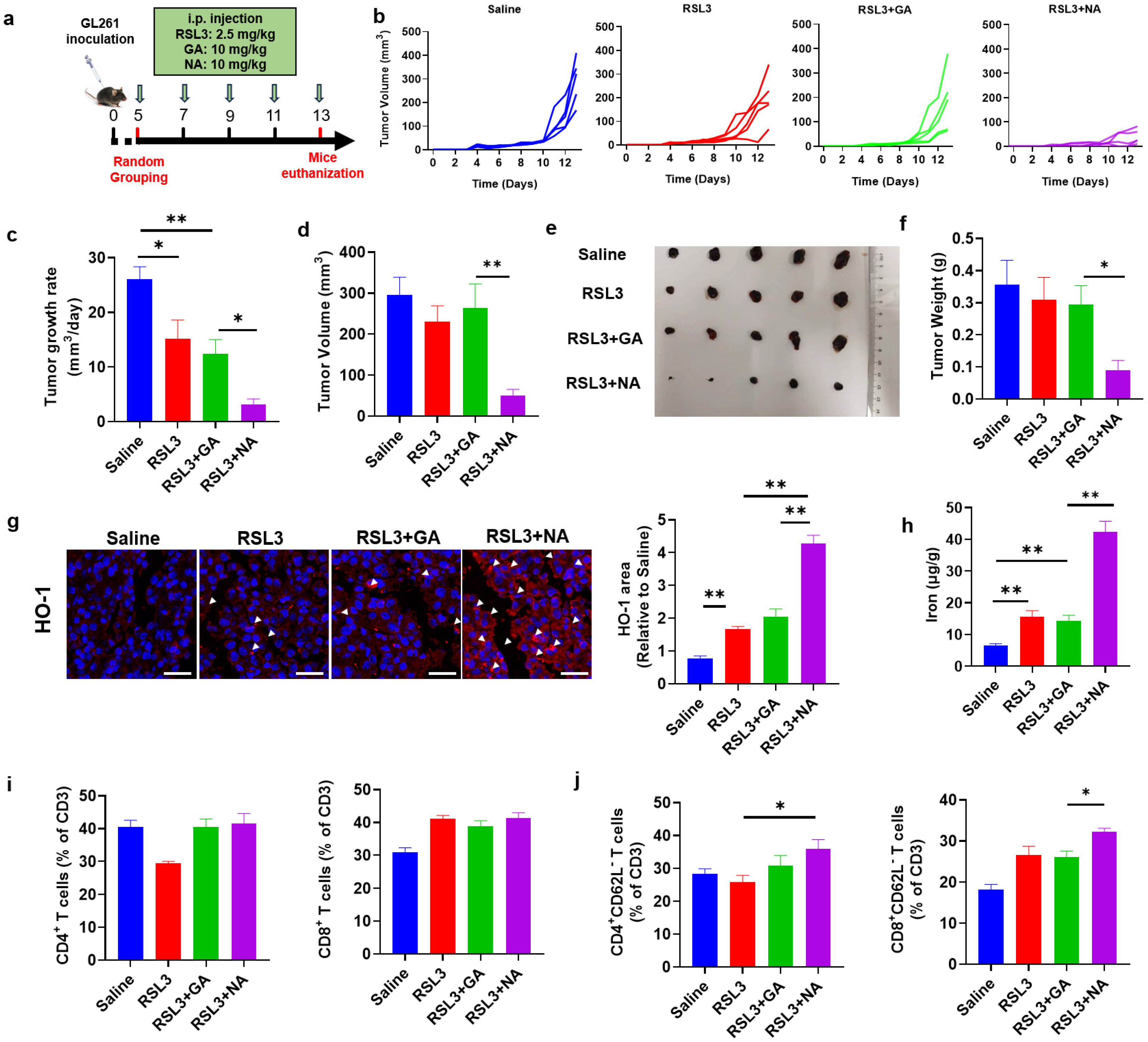 Pharmaceutics 16 01205 g006