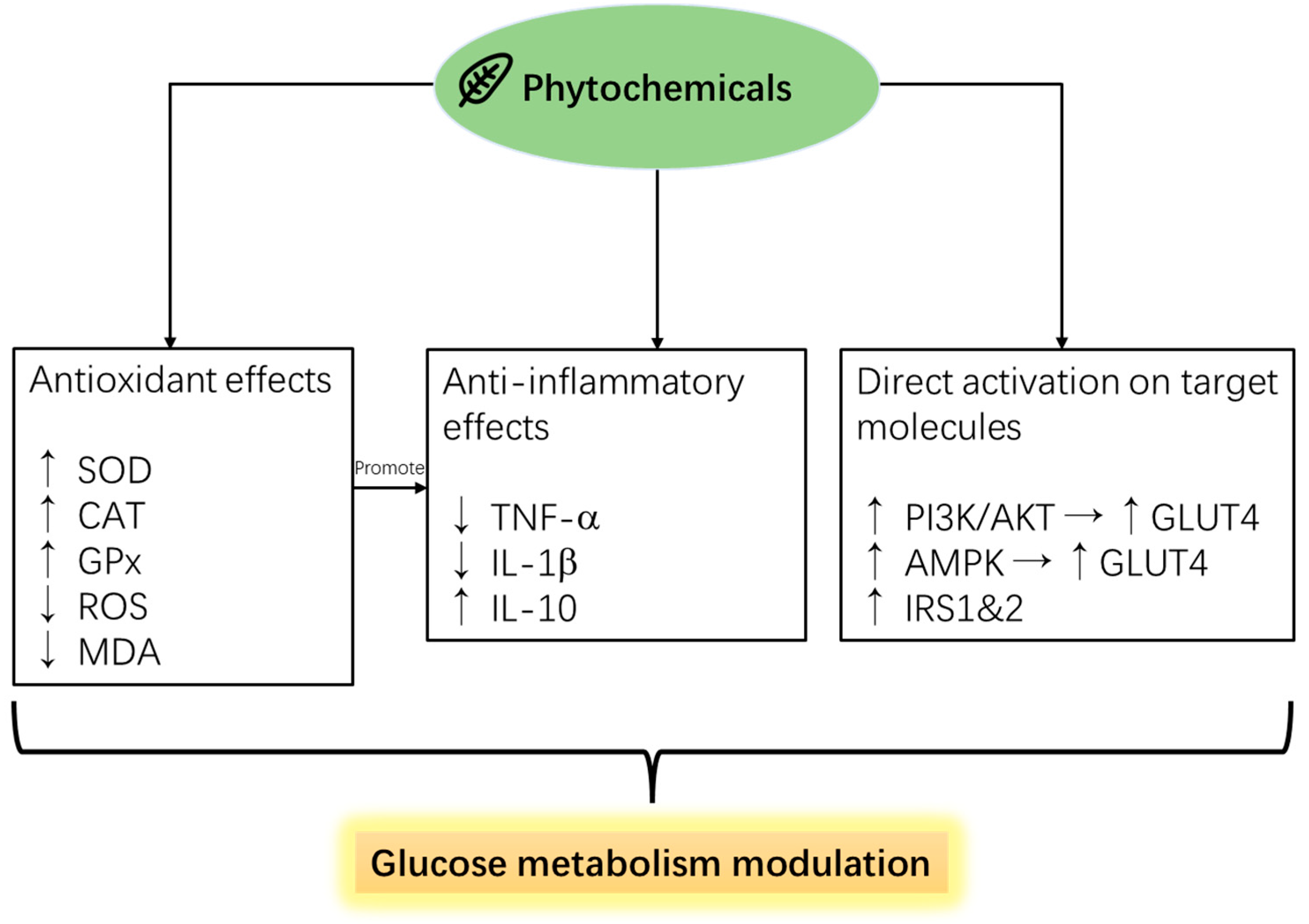 Pharmaceutics 16 01208 g004