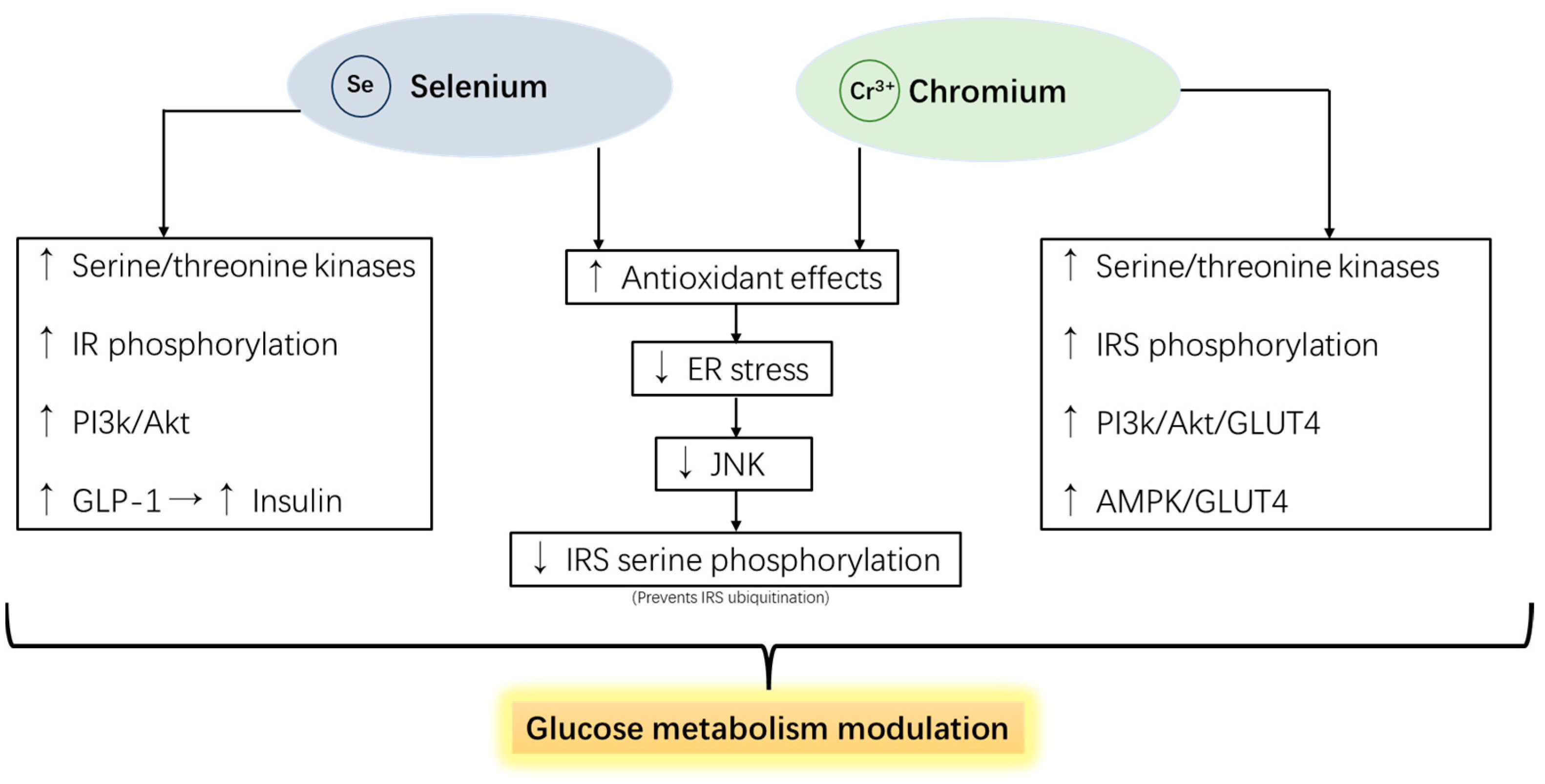 Pharmaceutics 16 01208 g006