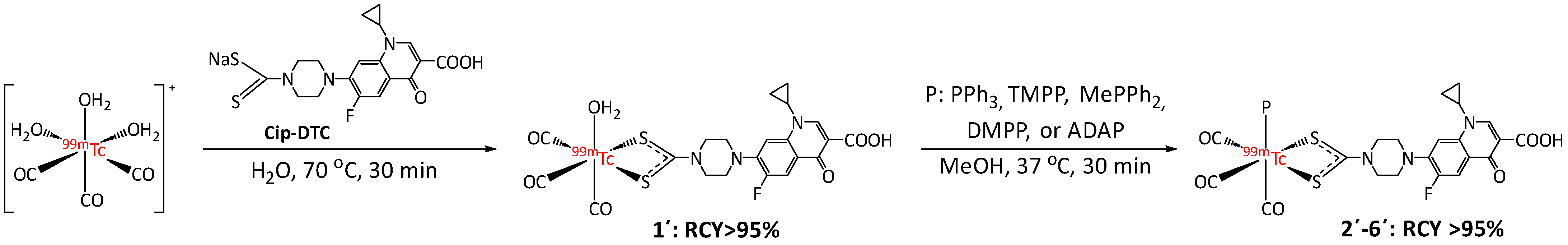 Pharmaceutics 16 01210 g002