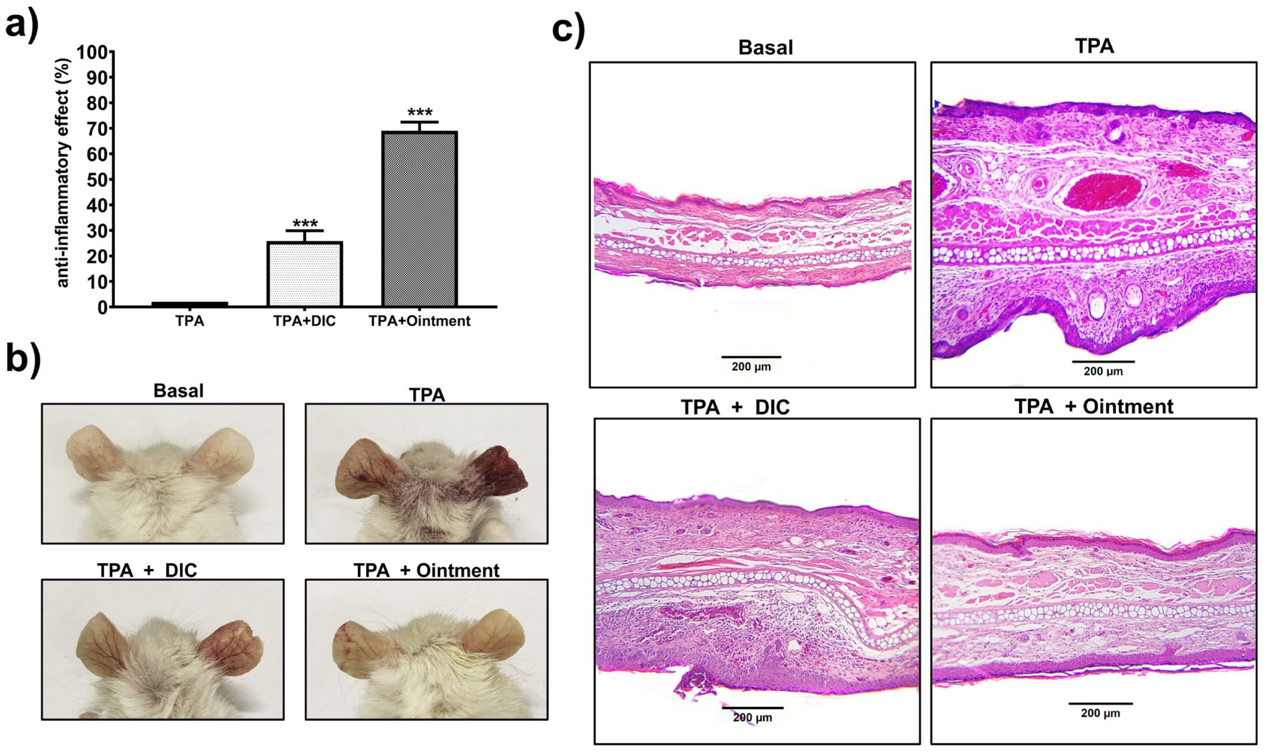 Pharmaceutics 16 01215 g005 Pharmaceutics 16 01215 g005