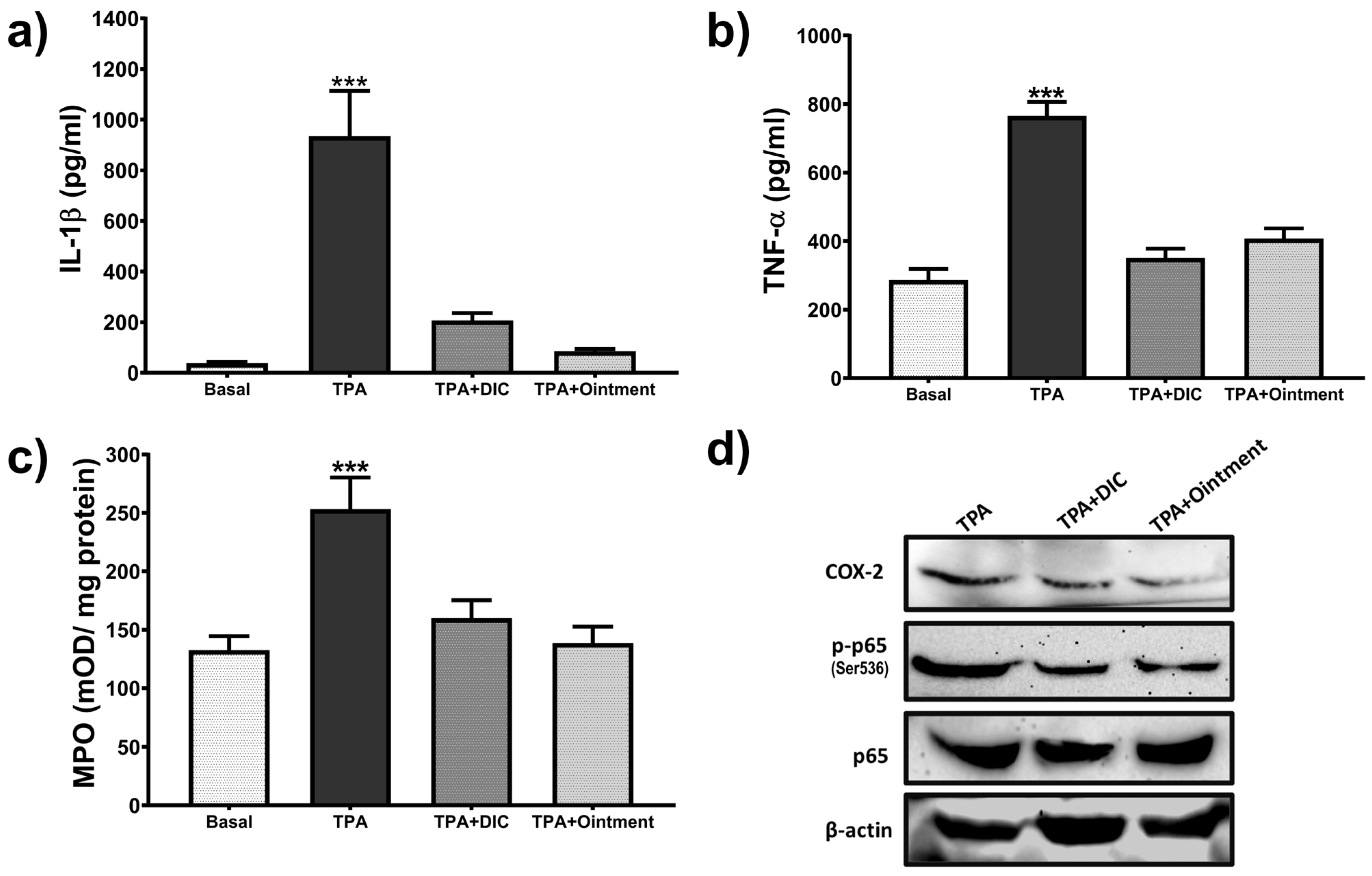 Pharmaceutics 16 01215 g006 Pharmaceutics 16 01215 g006