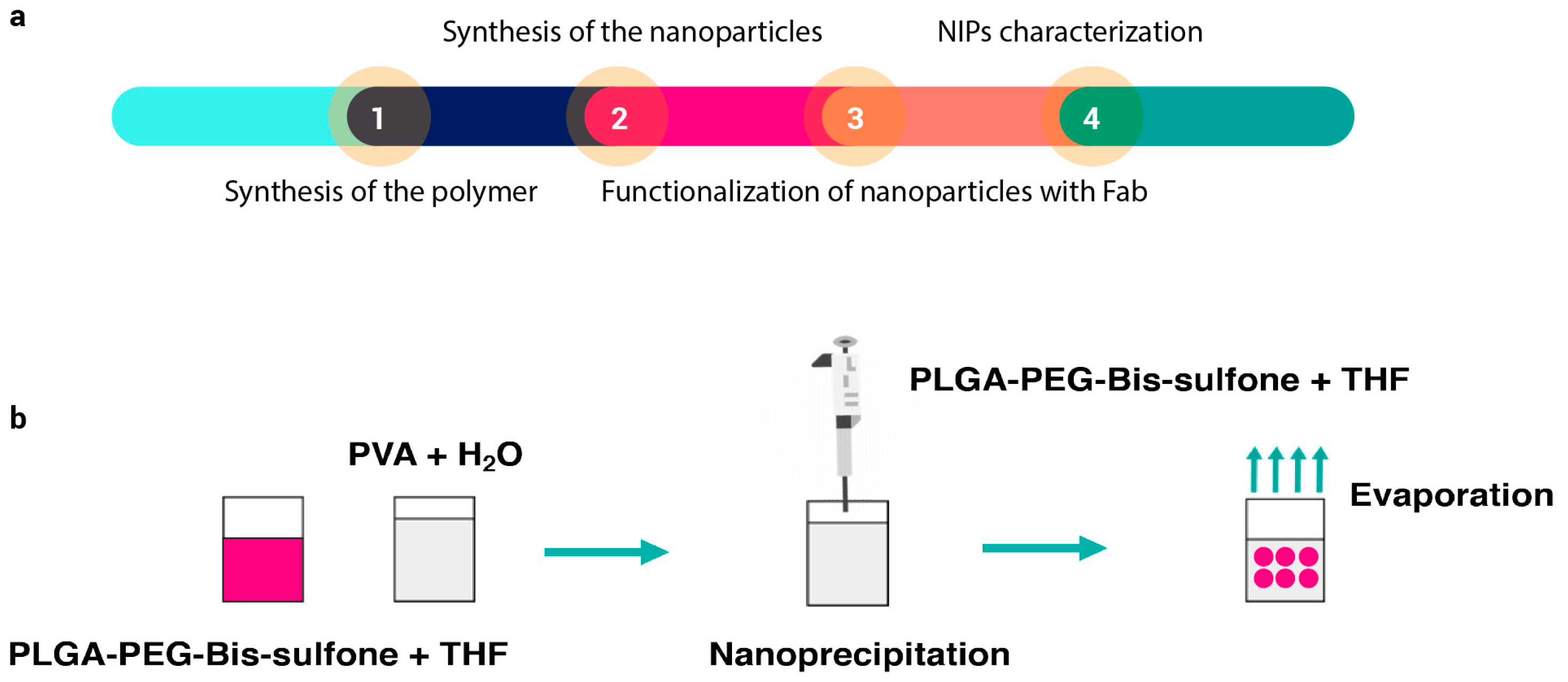 Pharmaceutics 16 01218 g001