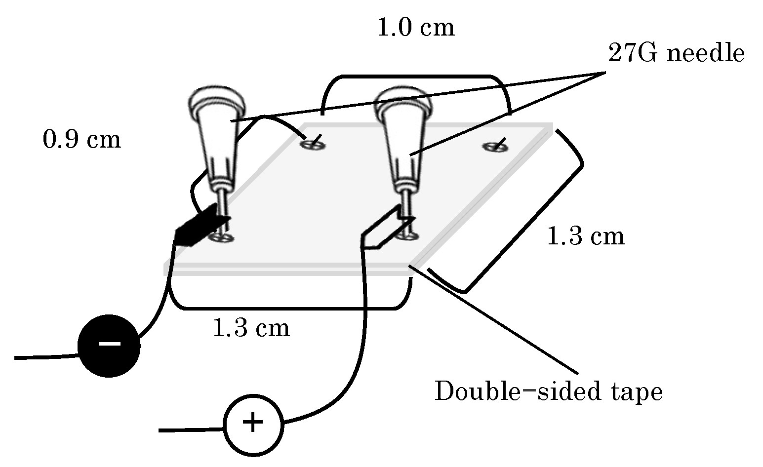 Pharmaceutics 16 01219 g001