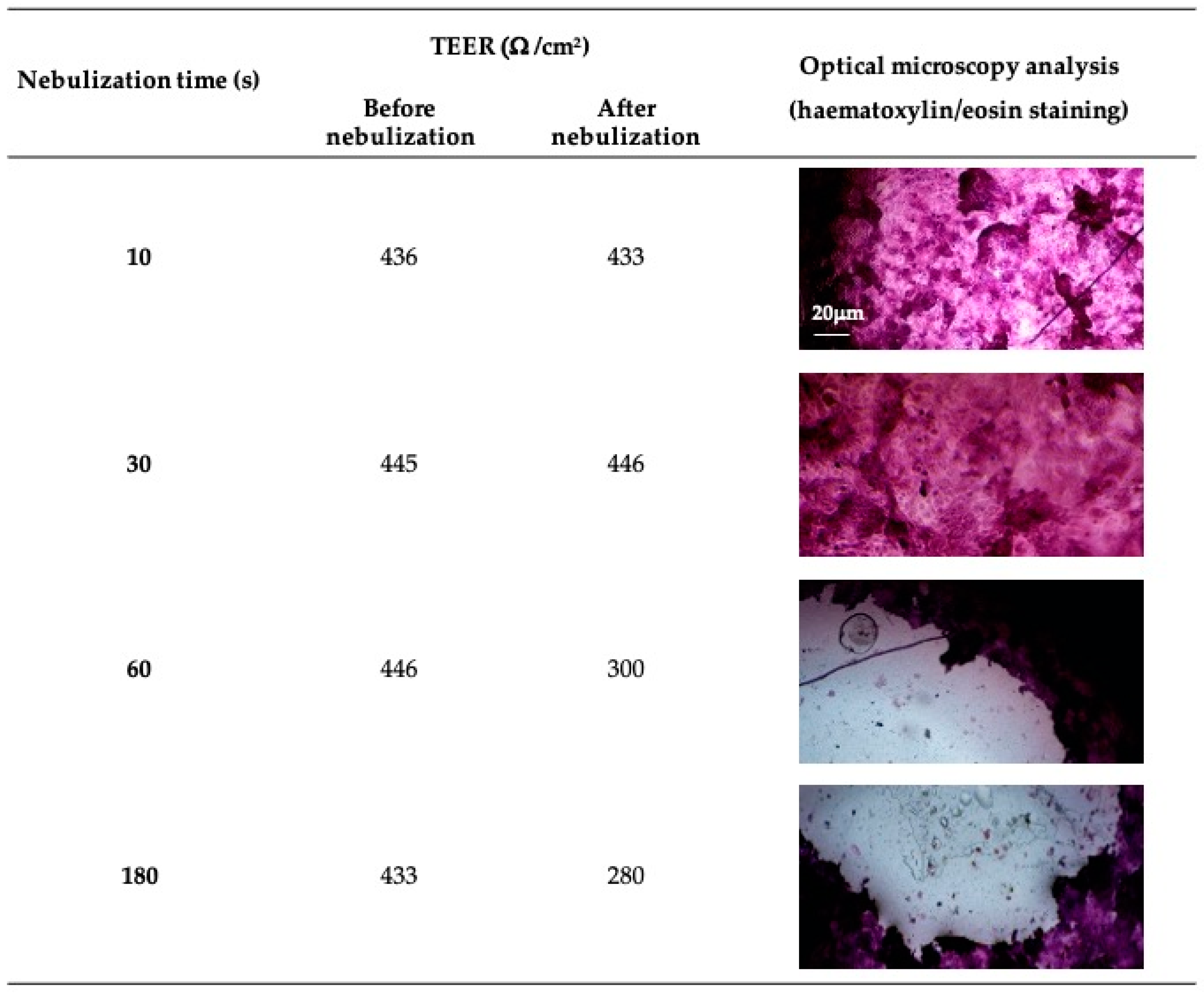 Pharmaceutics 16 01221 g003
