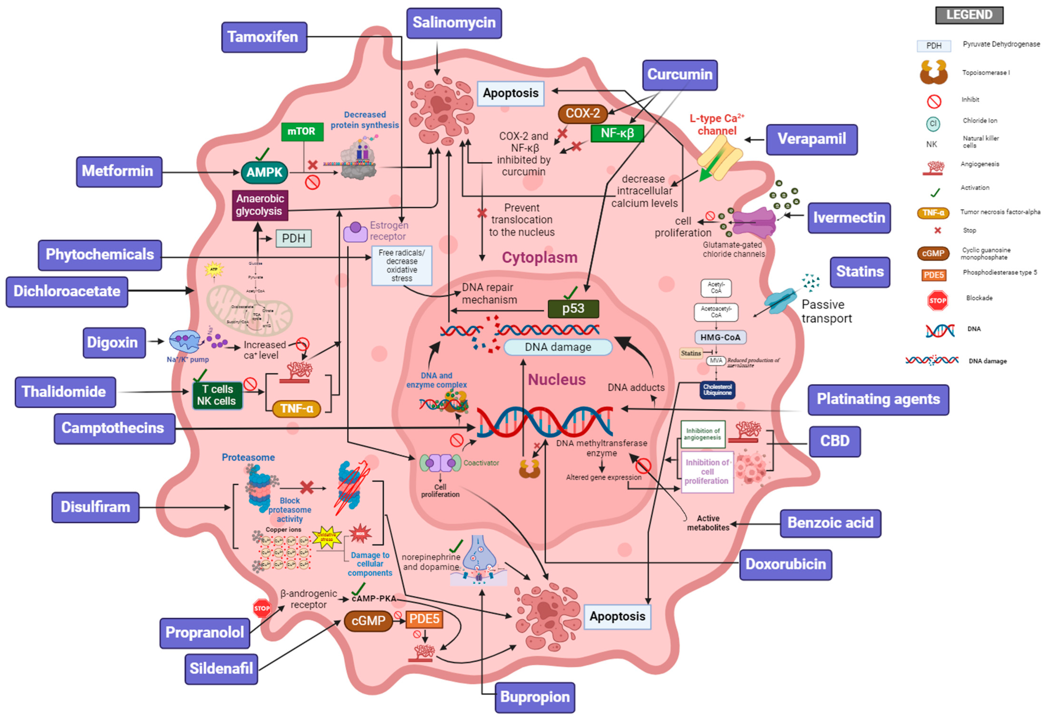 Pharmaceutics 16 01237 g002 Pharmaceutics 16 01237 g002