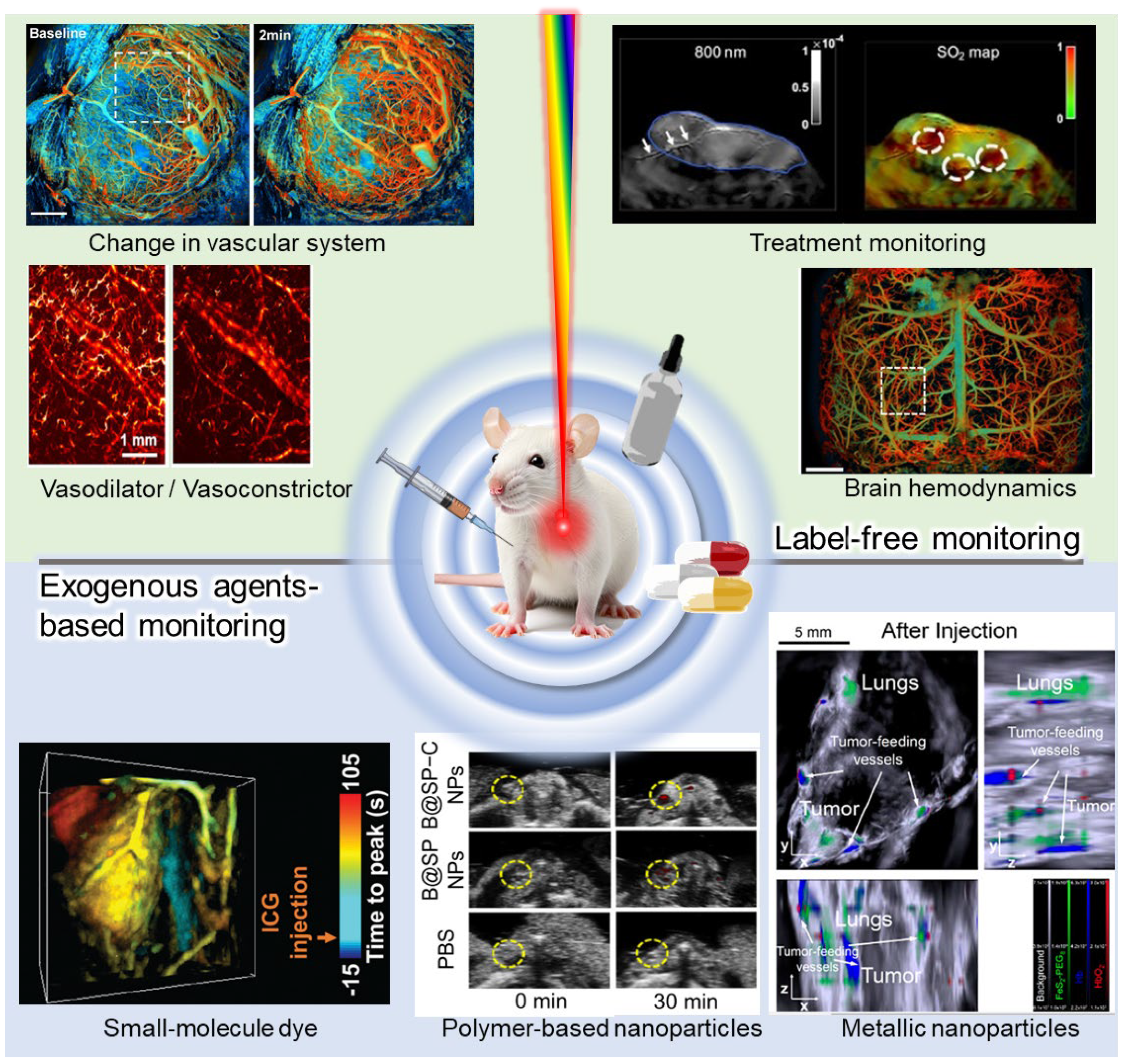 Pharmaceutics 16 01240 g001