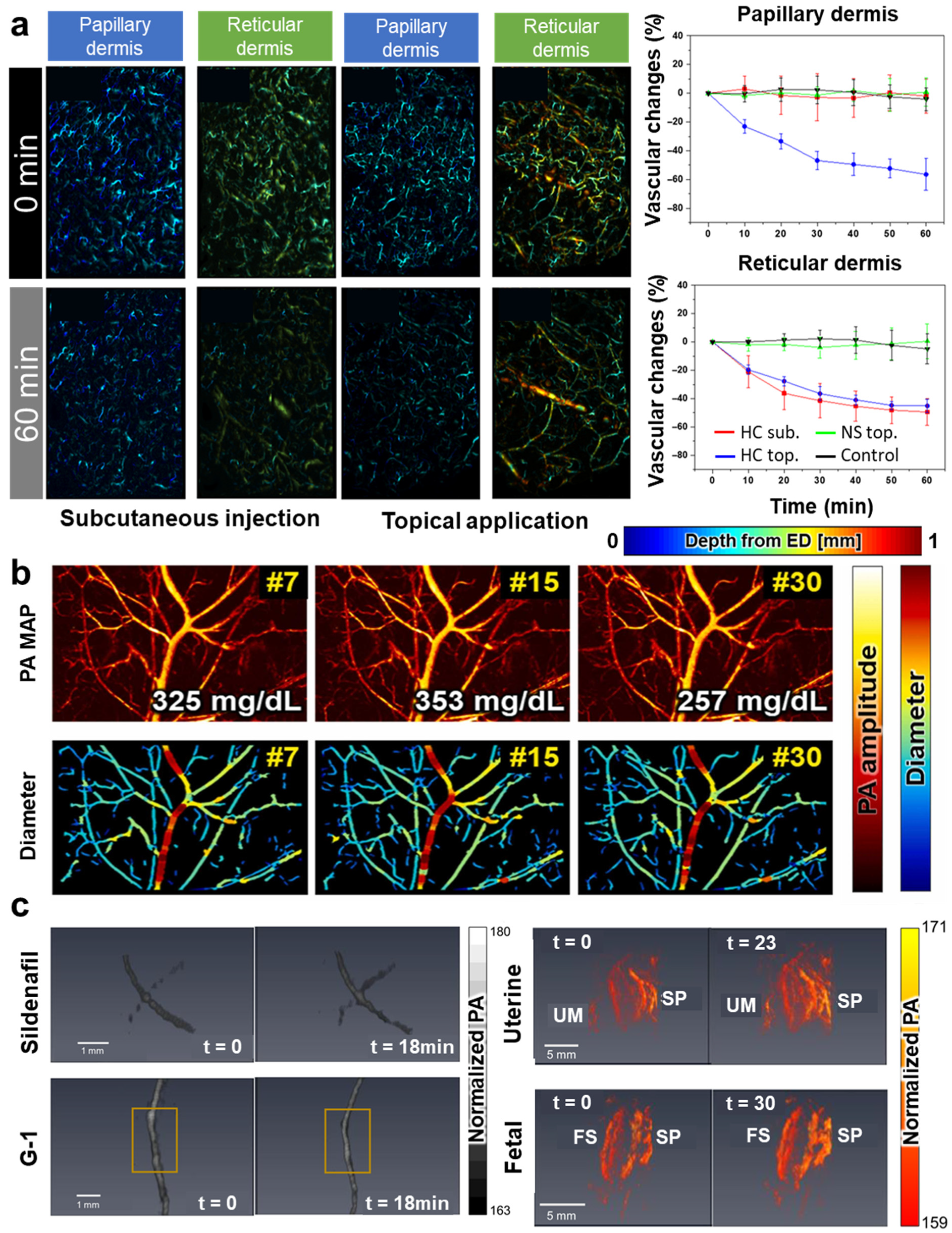 Pharmaceutics 16 01240 g002