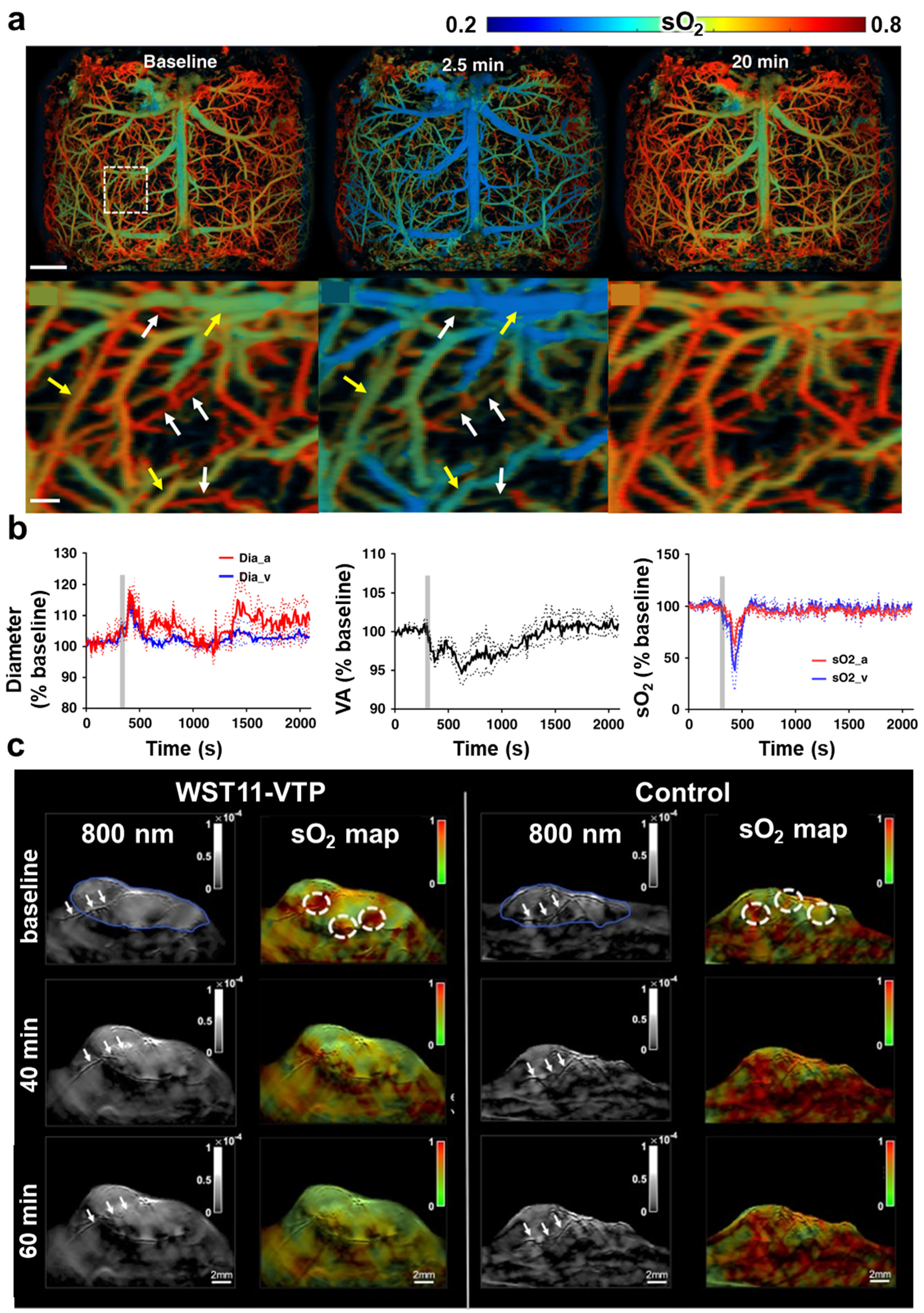 Pharmaceutics 16 01240 g003