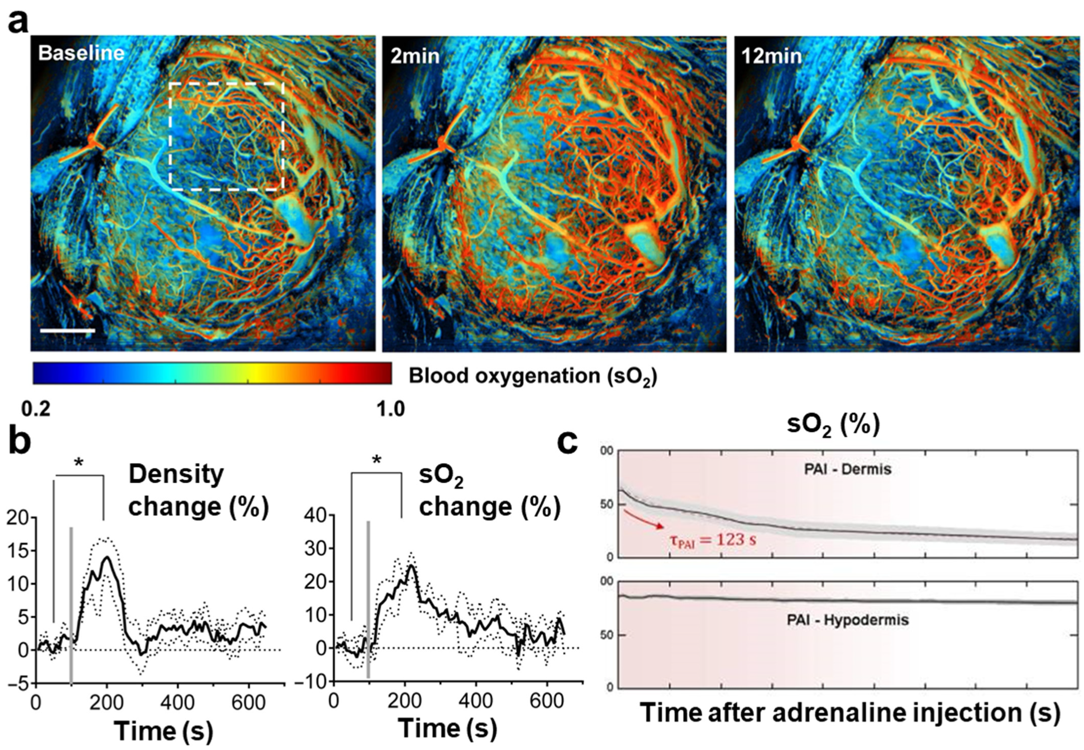 Pharmaceutics 16 01240 g004