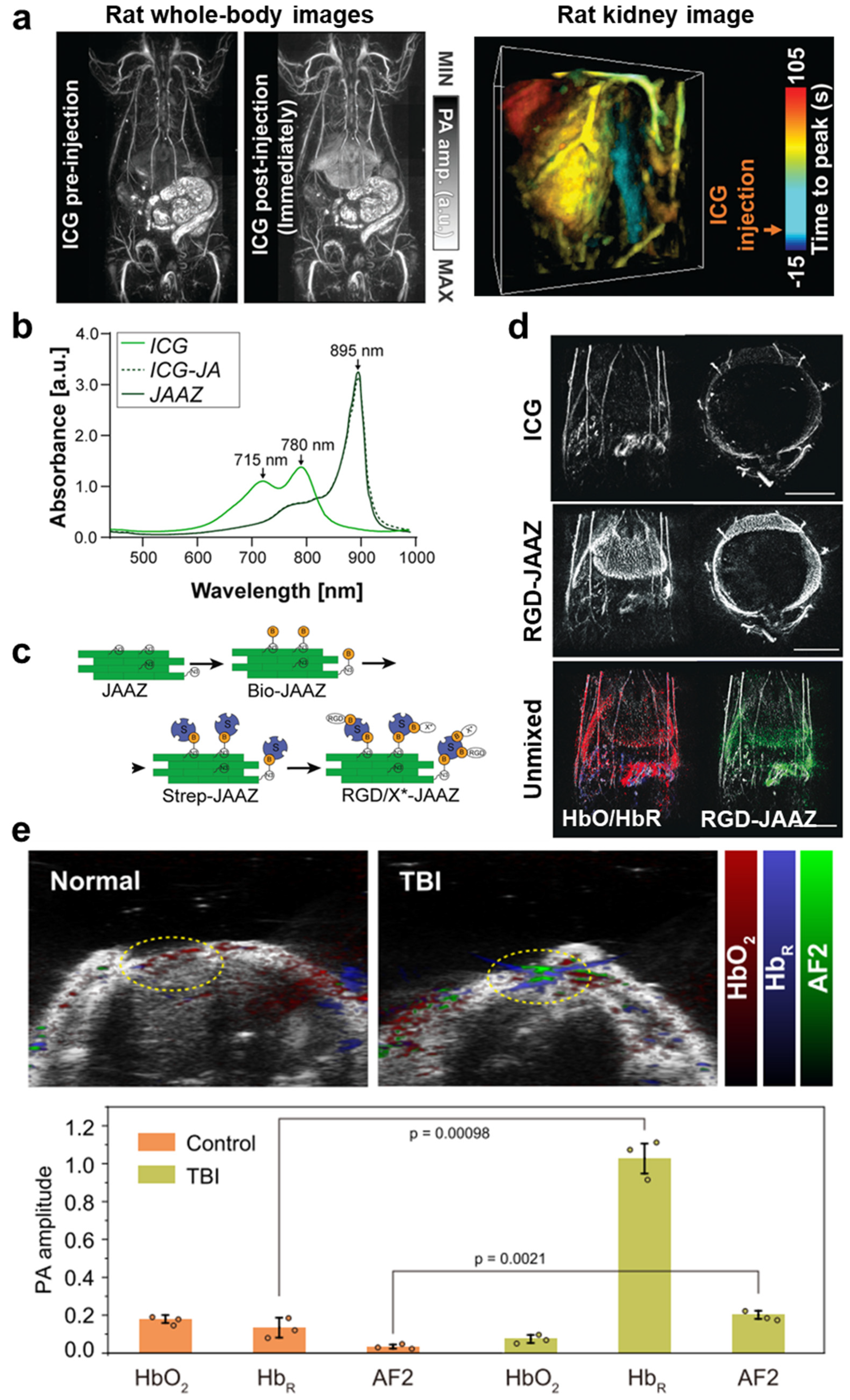 Pharmaceutics 16 01240 g005