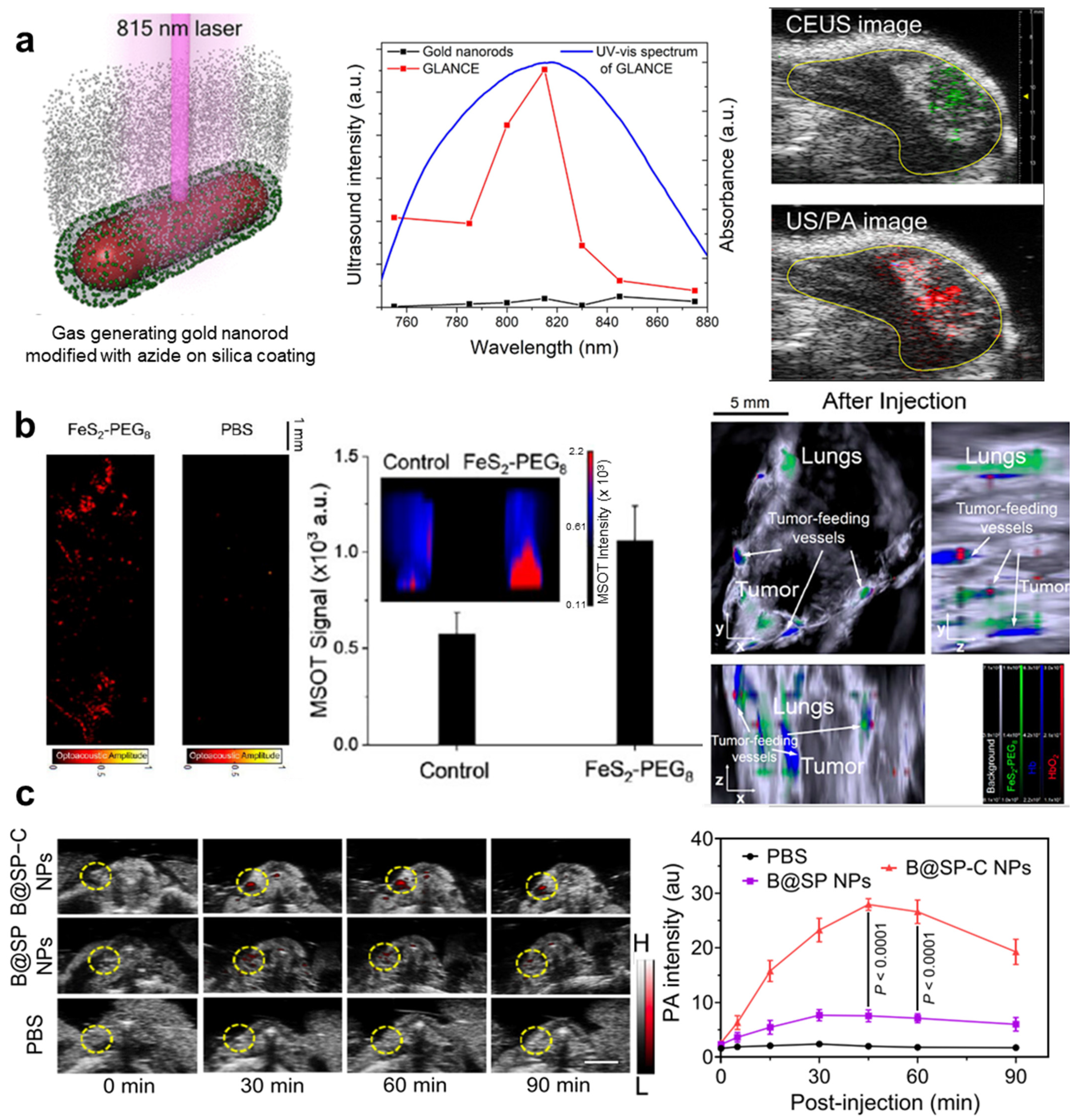 Pharmaceutics 16 01240 g006