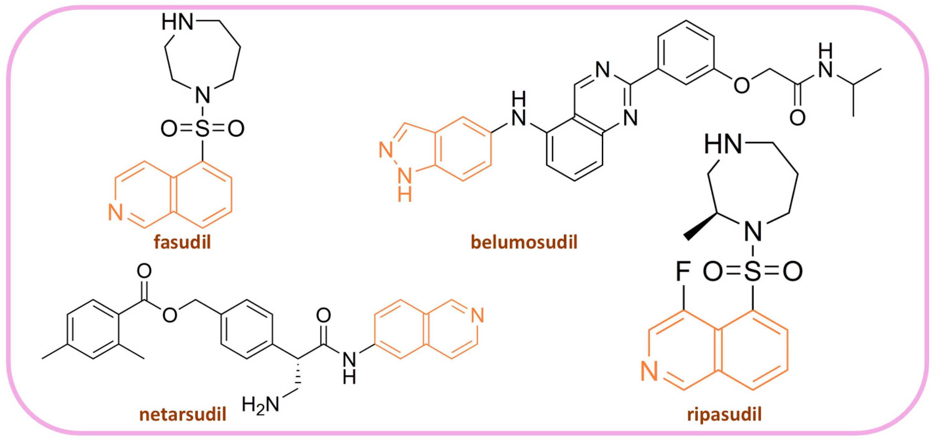 Pharmaceutics 16 01250 g002