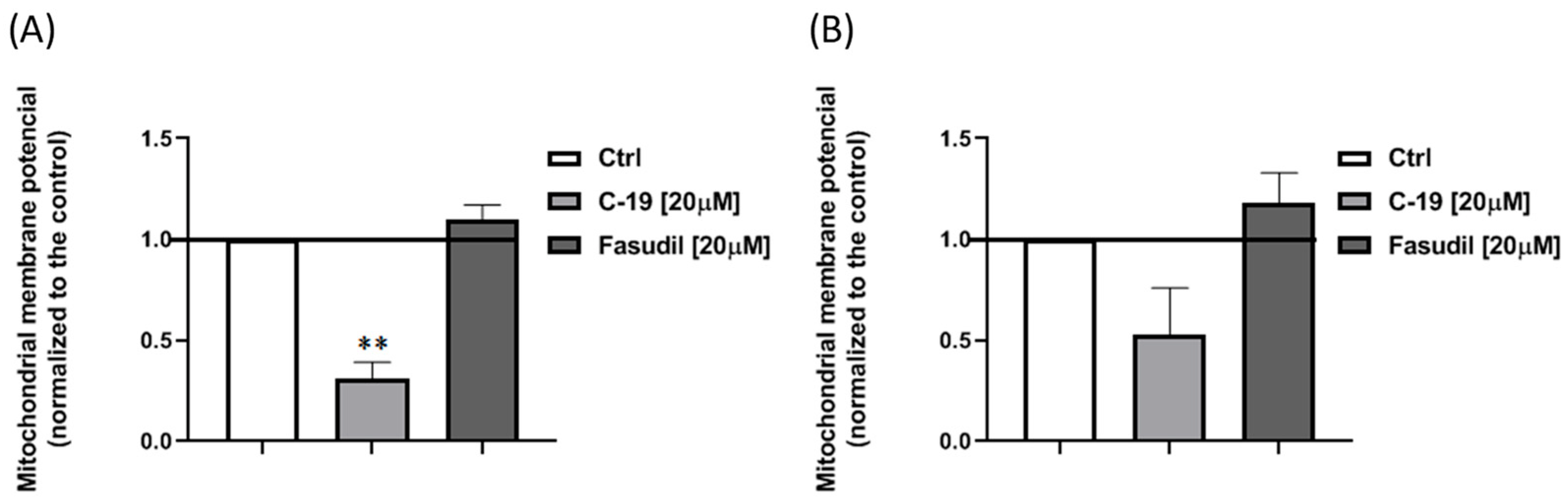 Pharmaceutics 16 01250 g013