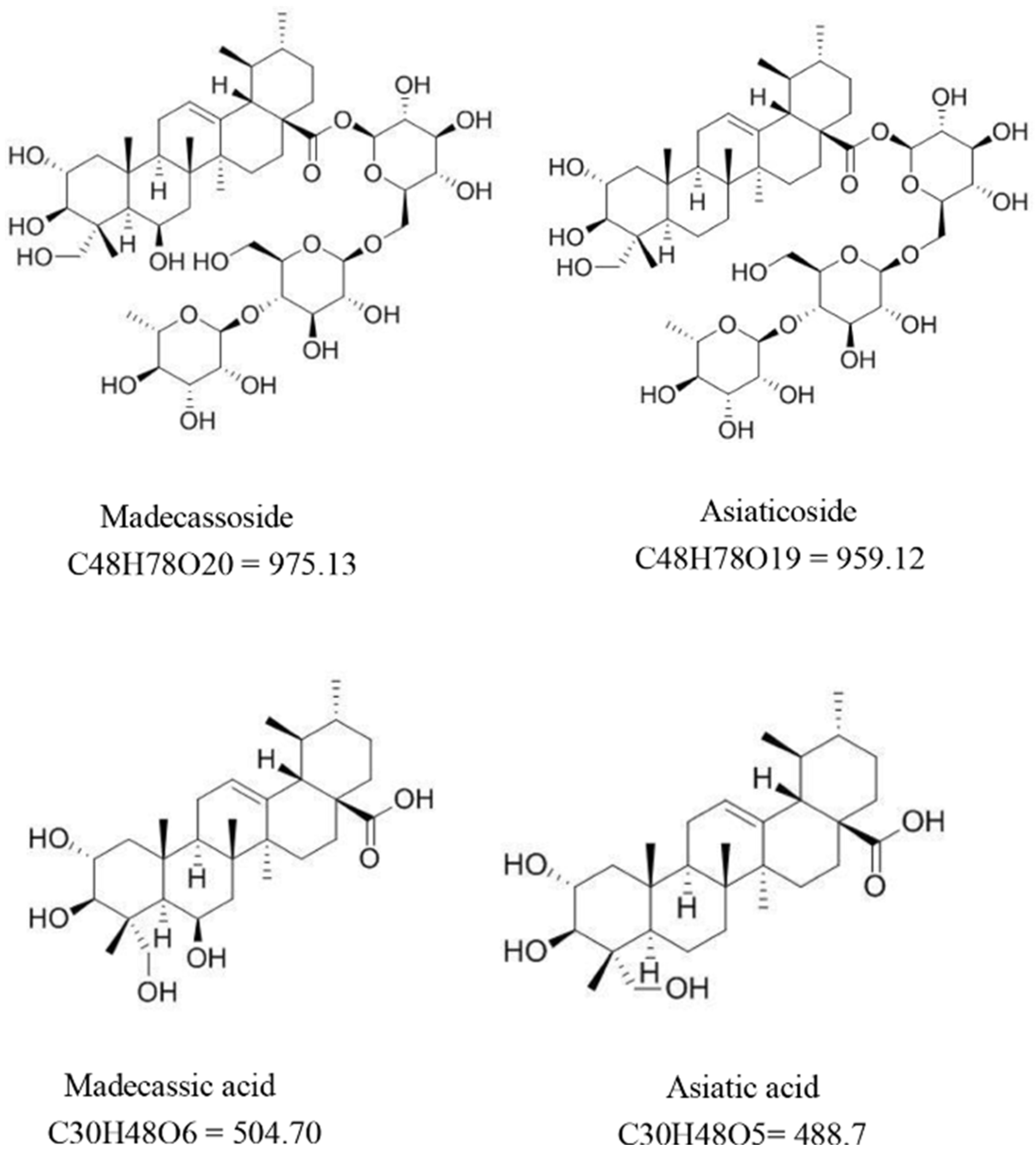 Pharmaceutics 16 01252 g001