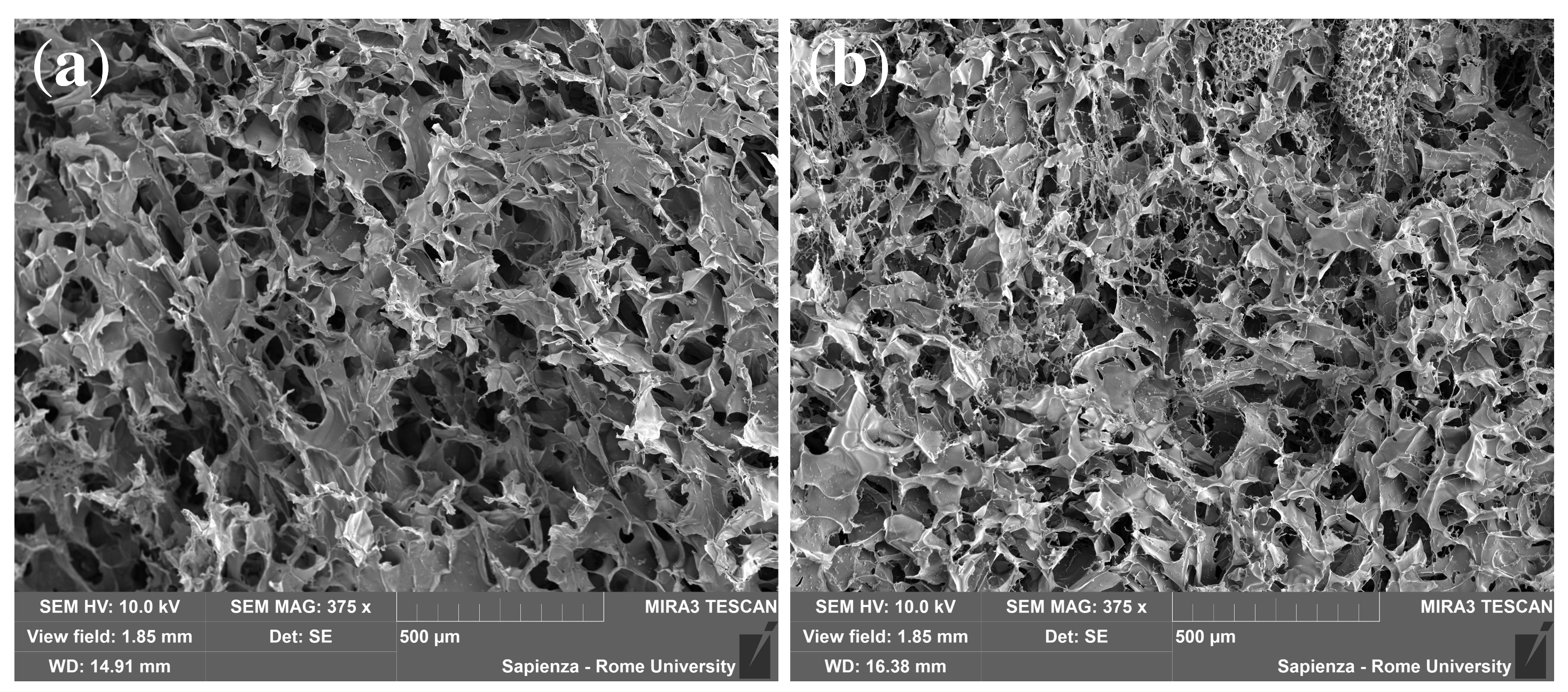 Pharmaceutics 16 01256 g003