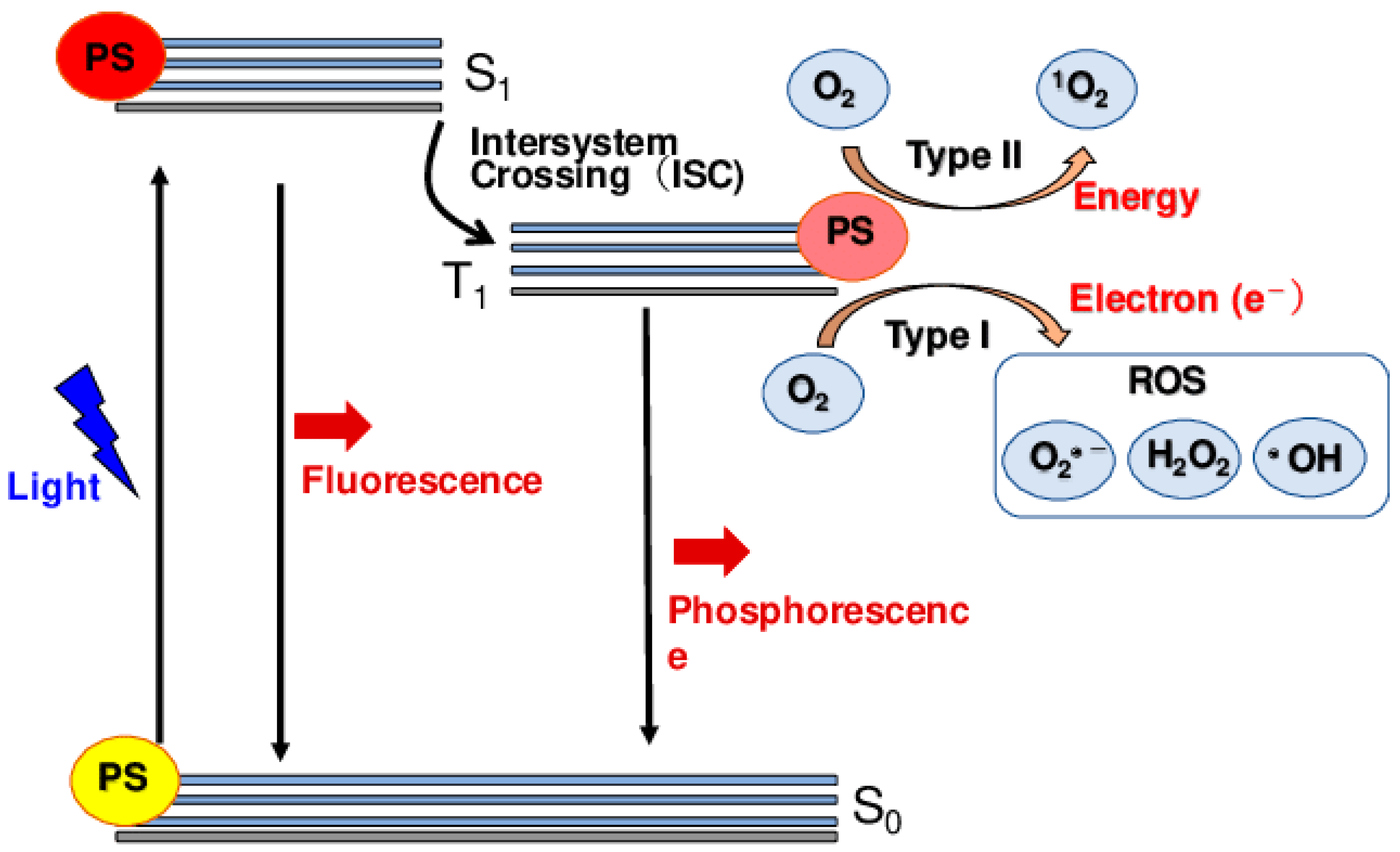 Pharmaceutics 16 01268 g003