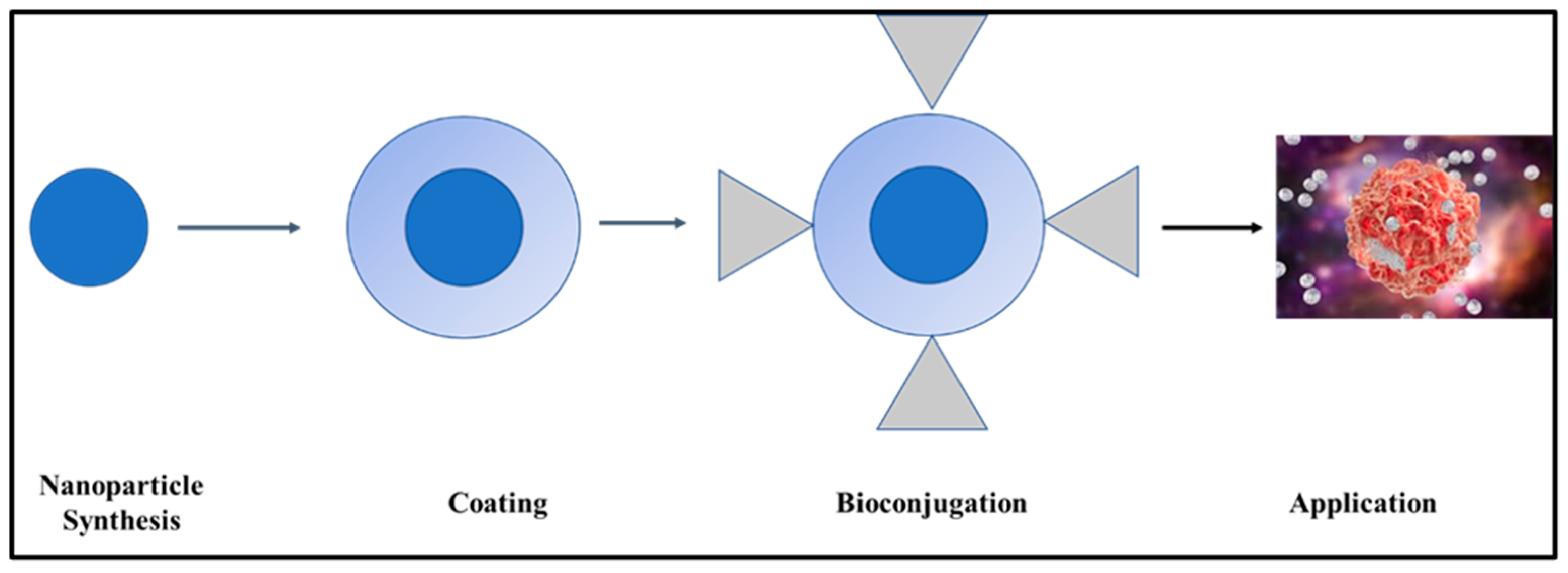 Pharmaceutics 16 01268 g005