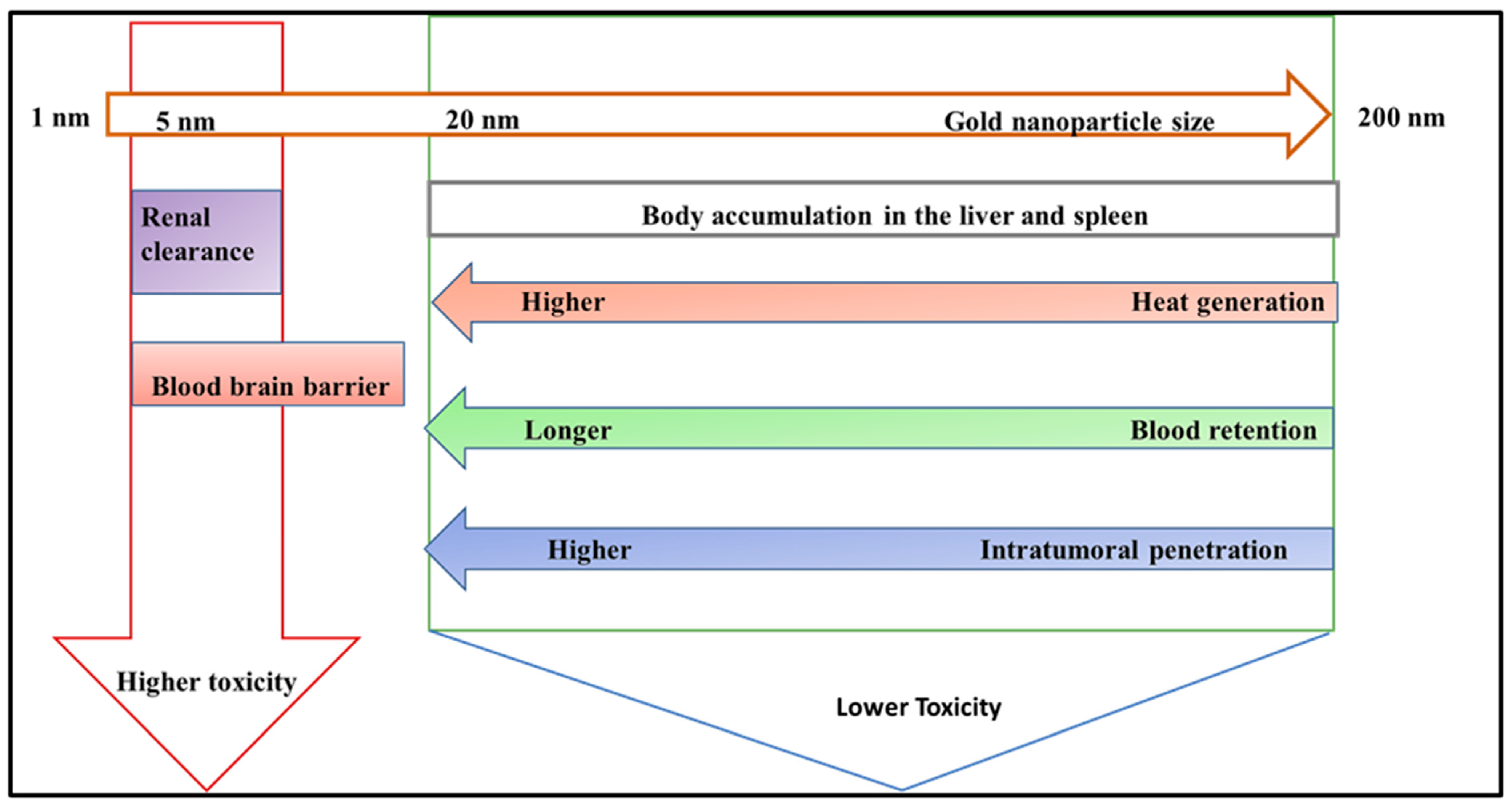 Pharmaceutics 16 01268 g006
