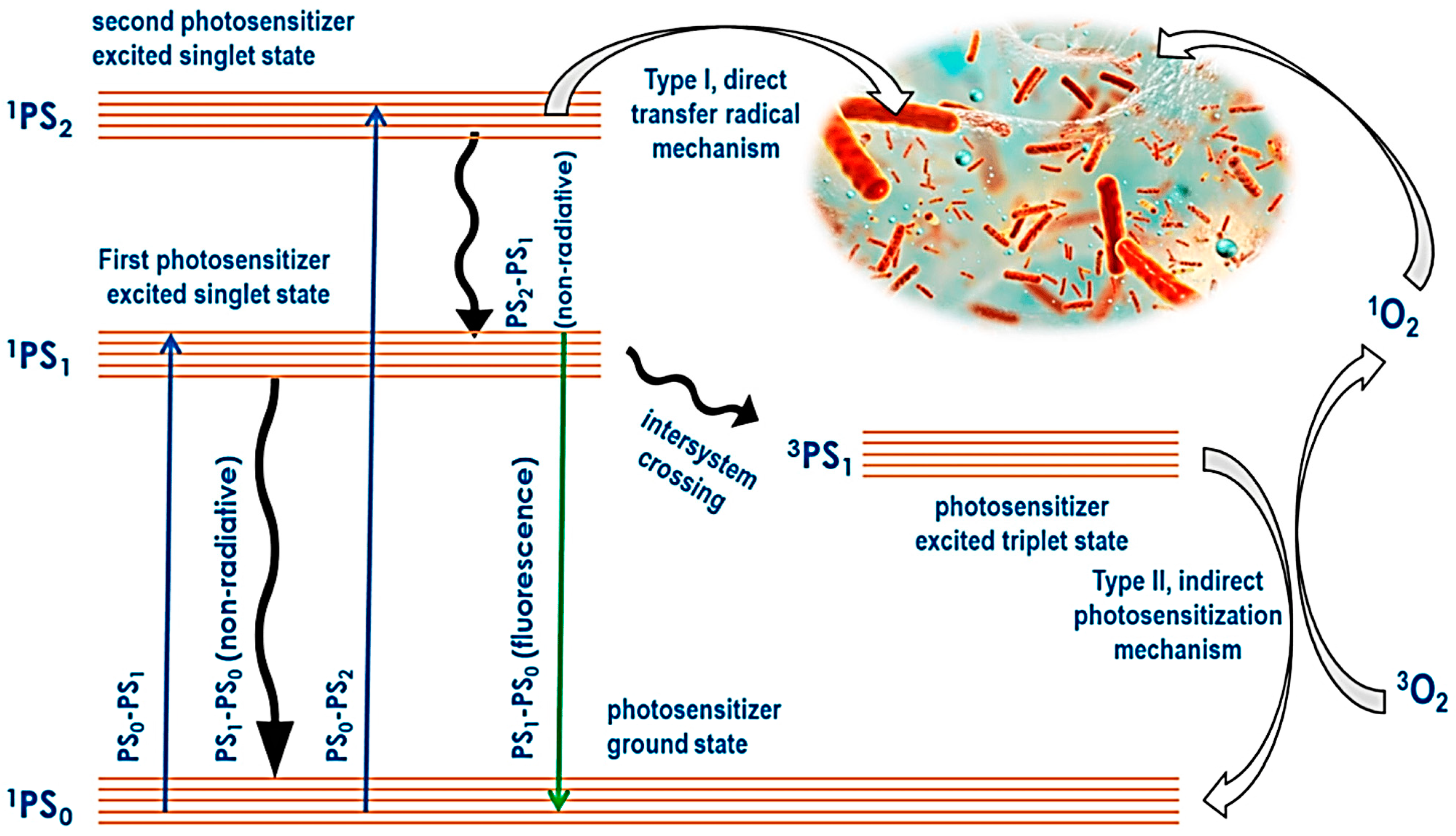 Pharmaceutics 16 01268 g007